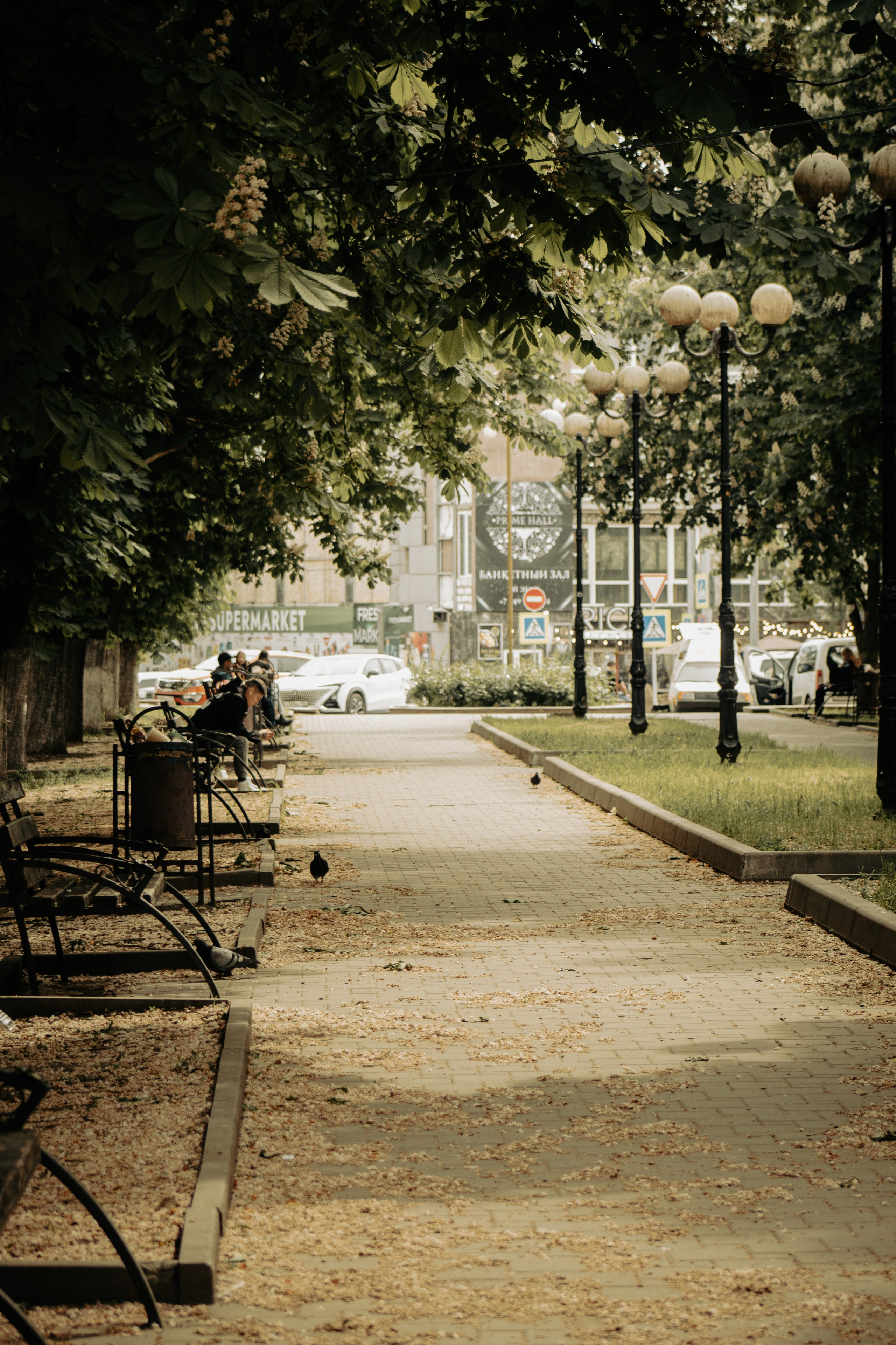 Даниил. Илья Чемис — Фотограф в Мариуполе