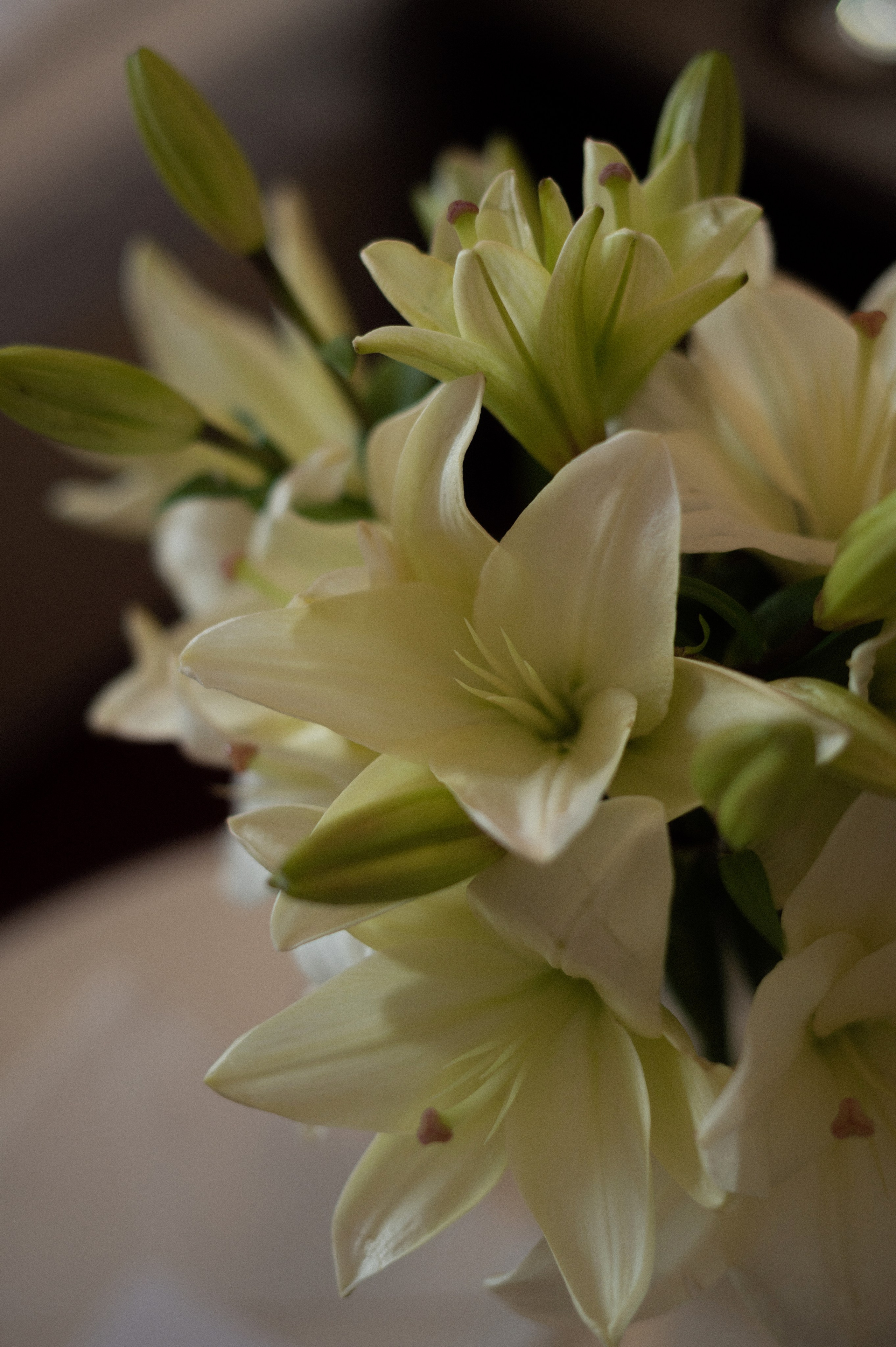 Невеста в отеле. Фотограф Штым Галина — Фотограф в Севастополе, Крыму