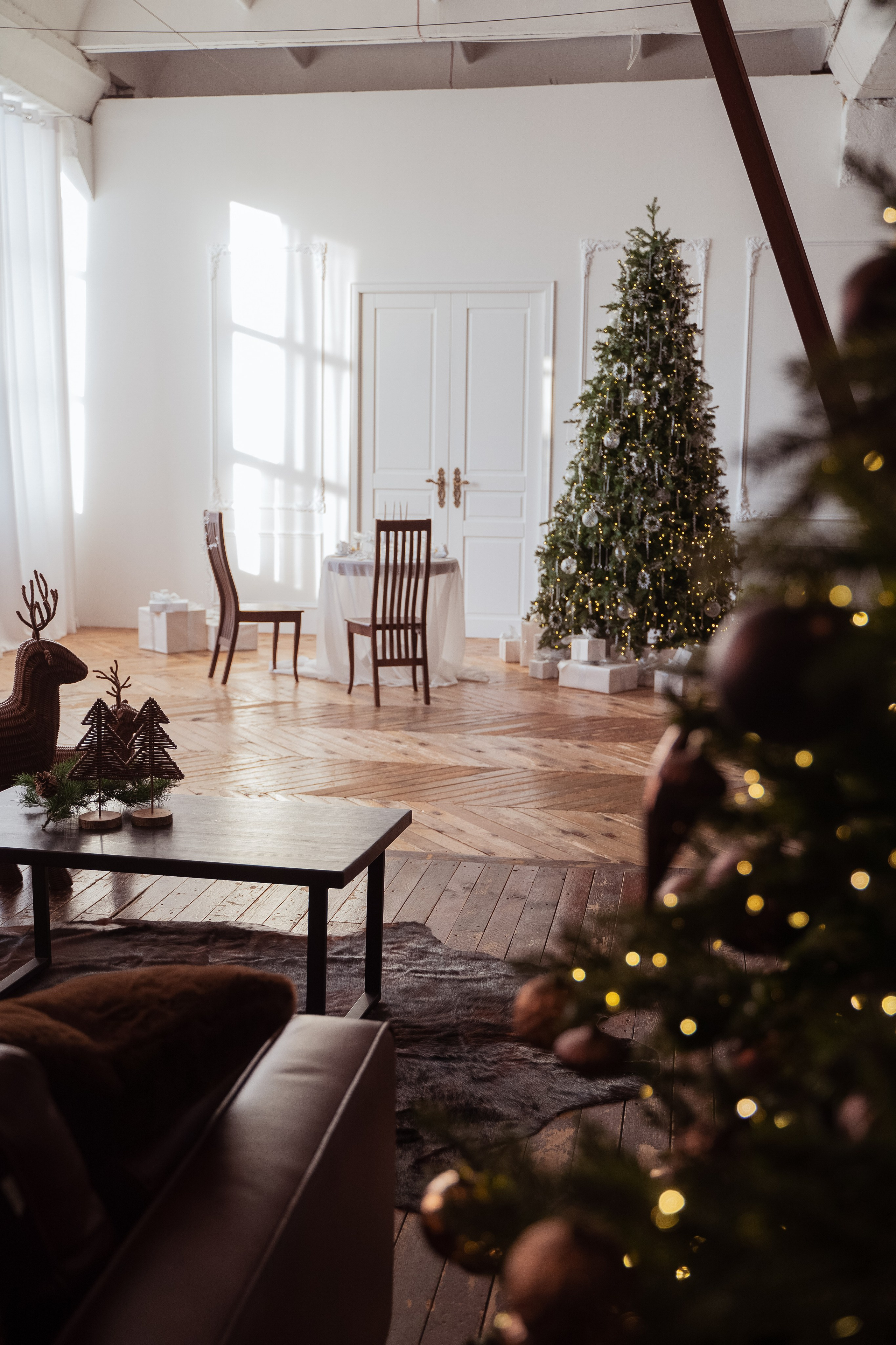 Браун (Brown). Фотограф г. Хабаровск. Семейные и индивидуальные съёмки