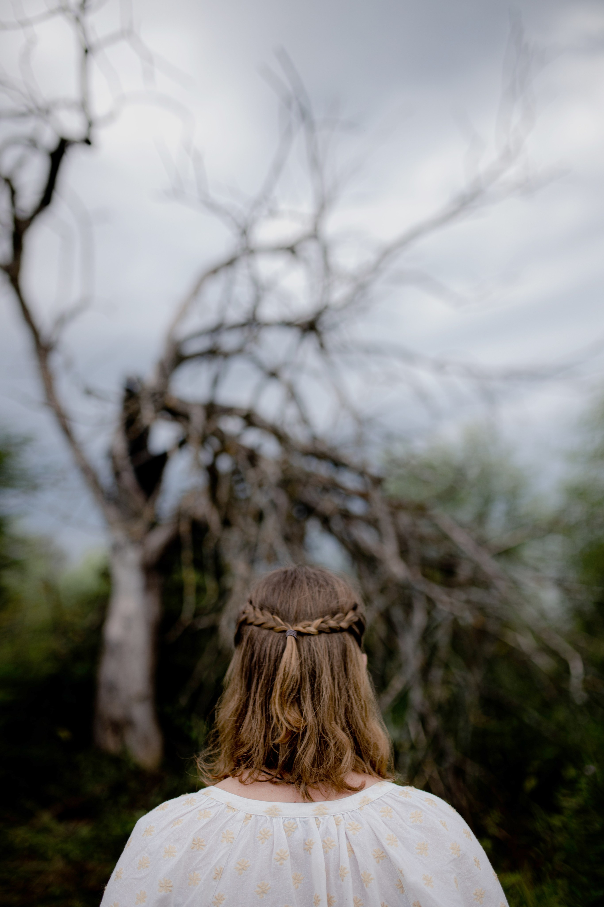 Дерево после грозы. Портретный фотограф Александра Птица. Снимаю истории о вас
