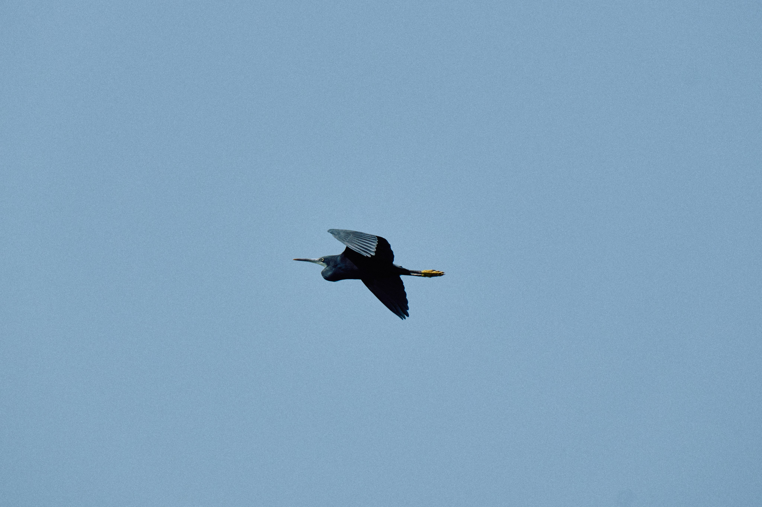 Guinea-Bissau. See the moment and catche. commercial and reportage