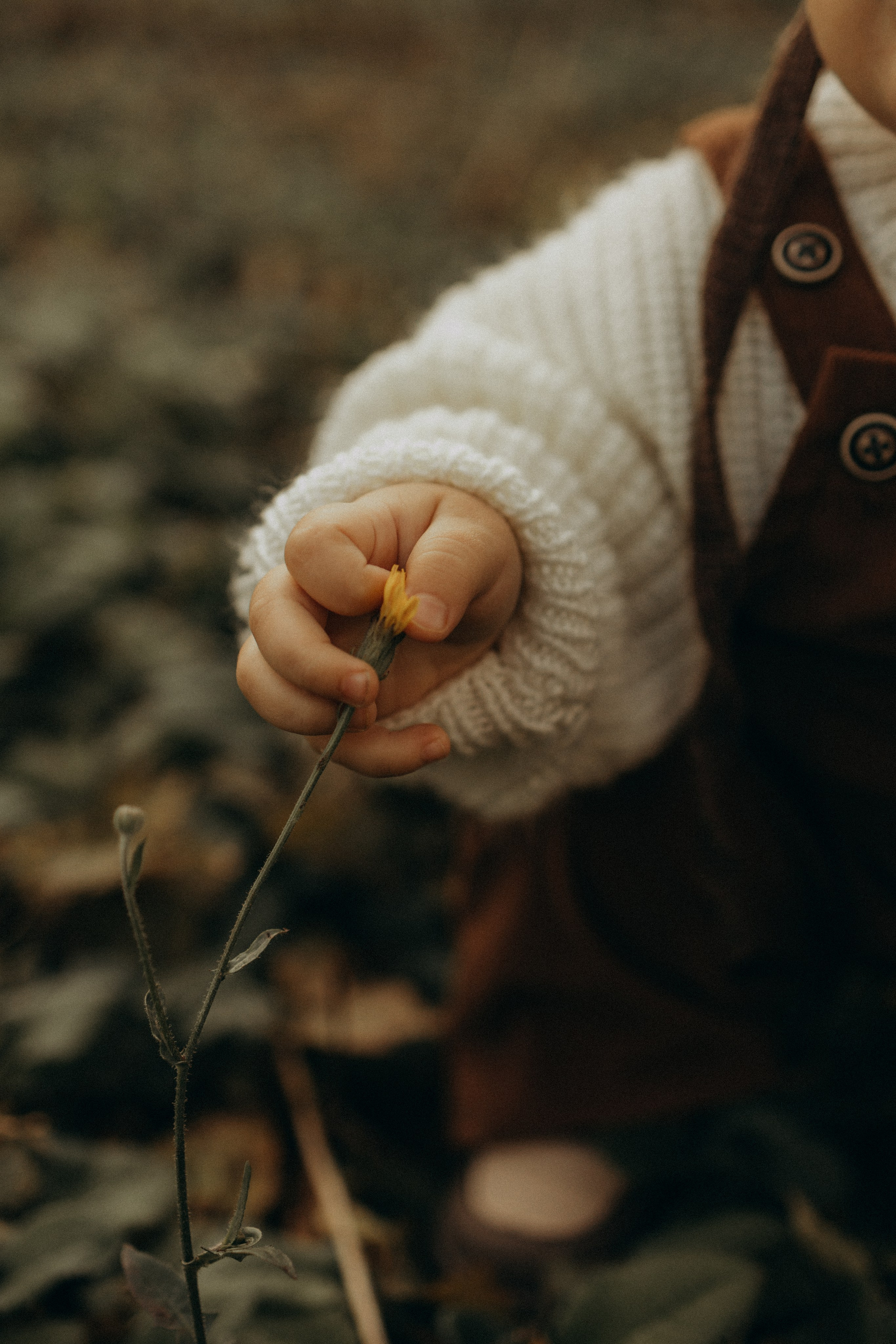 Эльвира, Денис и Макар. Александра Ниценко СЕМЕЙНЫЙ ФОТОГРАФ ИЗ СТАВРОПОЛЯ