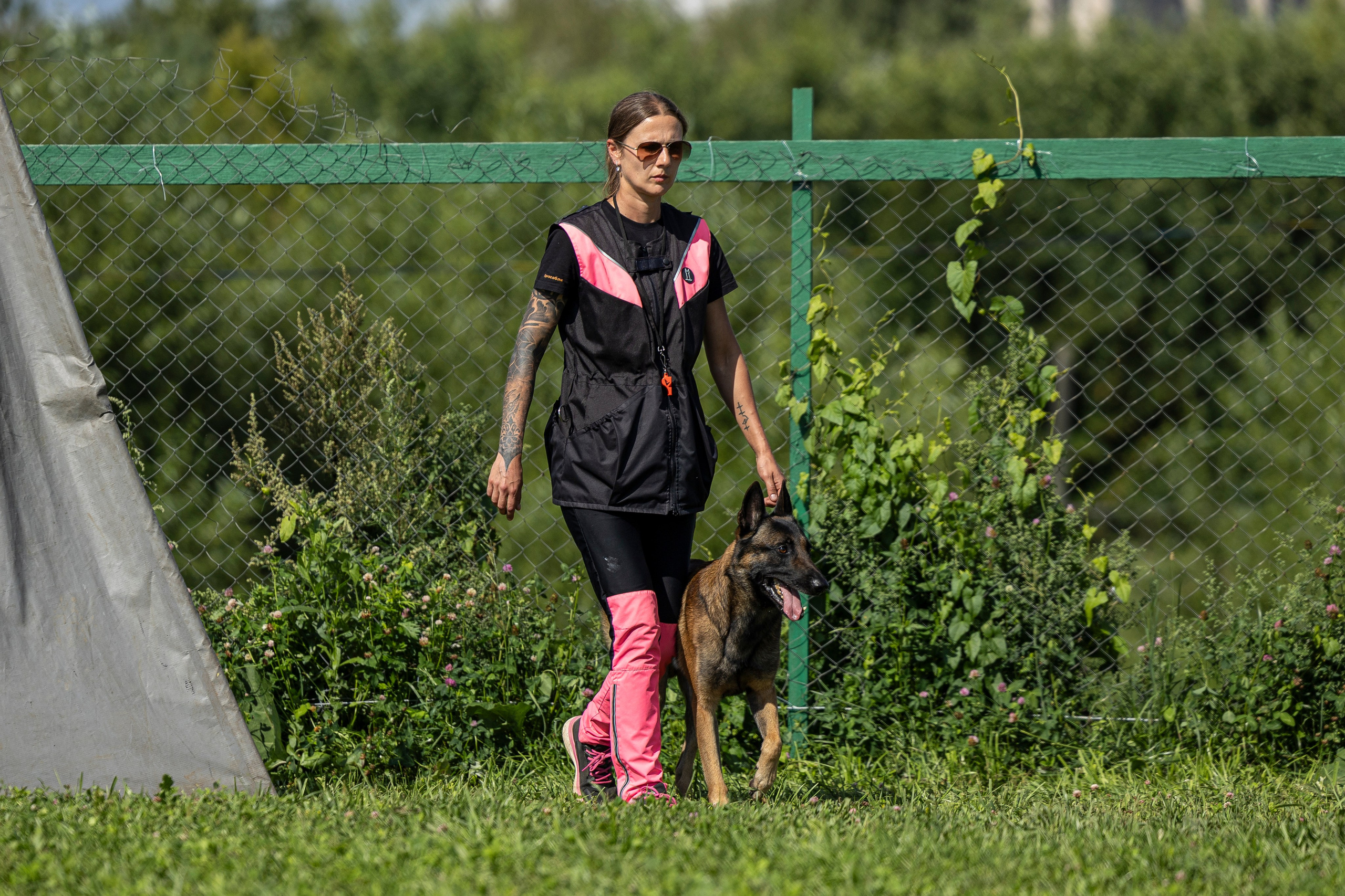 Соревнования по Мондьорингу г. Вологда 10-11.08.2024. Фотограф-анималист Анна Маринич
