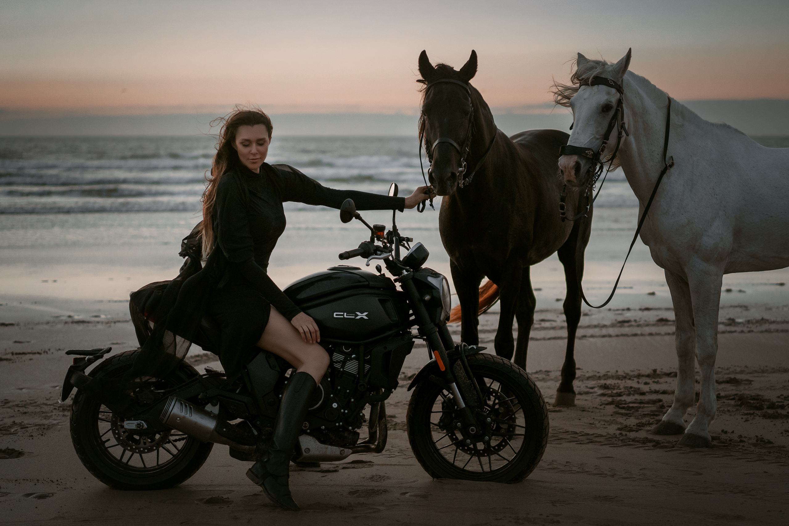 Фотосессии с лошадьми. Фотограф Артемьева Катерина|фотосессии с лошадьми