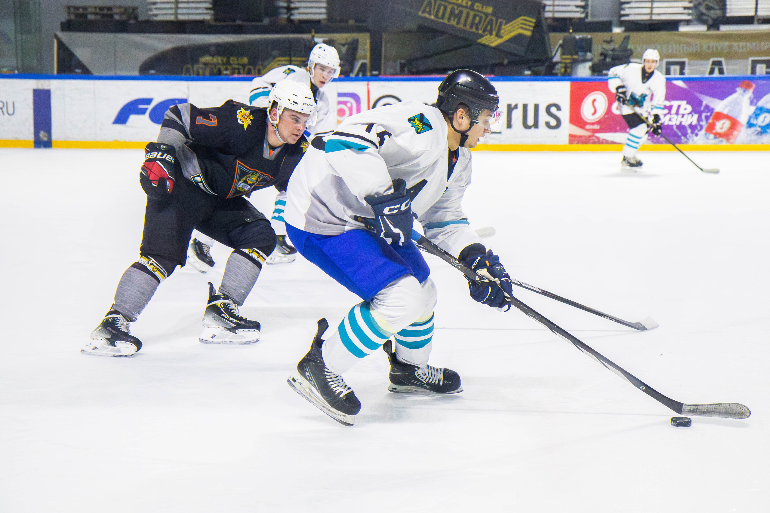 Матч сборной по хоккею ДВФУ. Репортажный фотограф во Владивостоке Анастасия Кострова