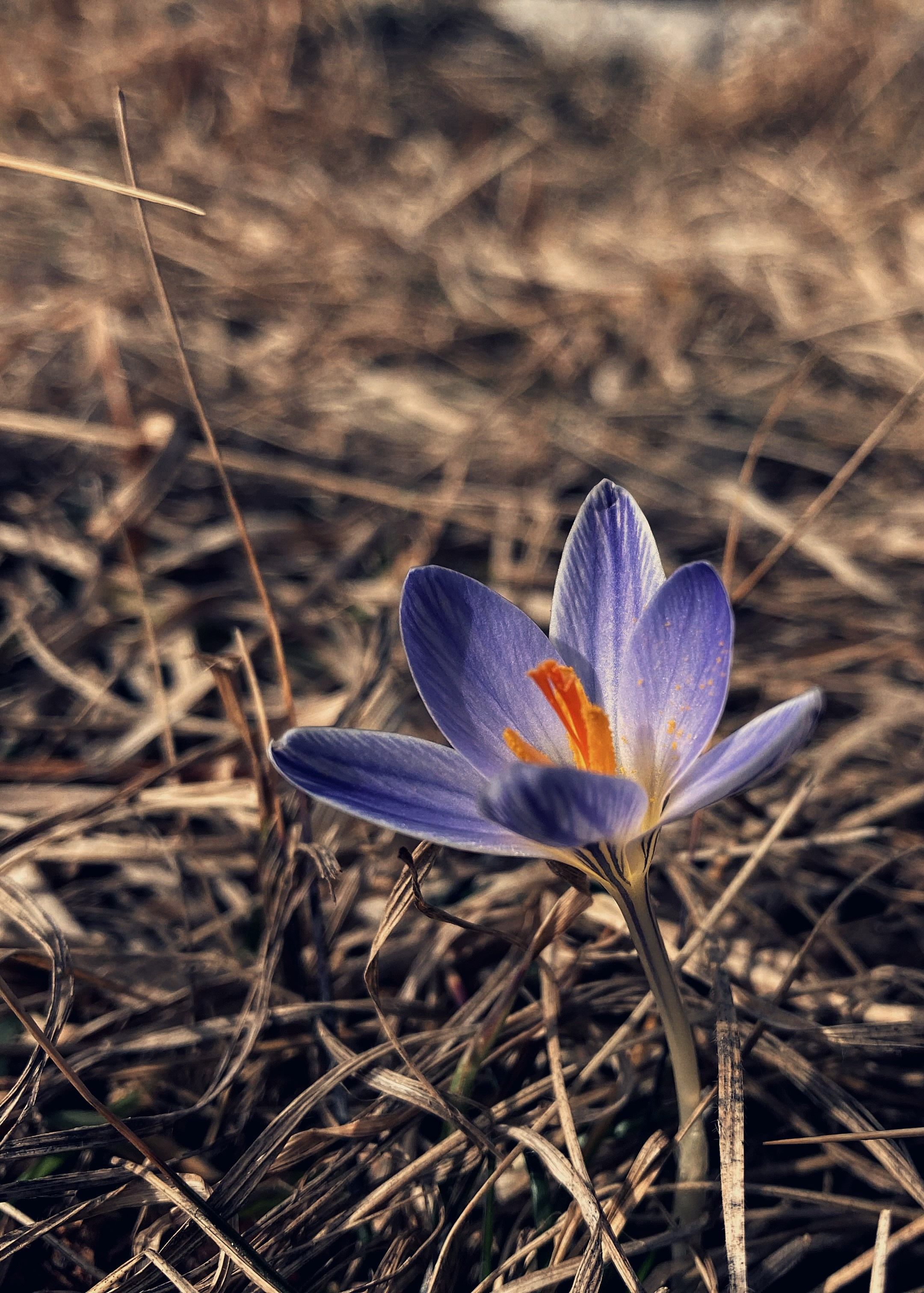 Макро любовь. Смотри, красота!