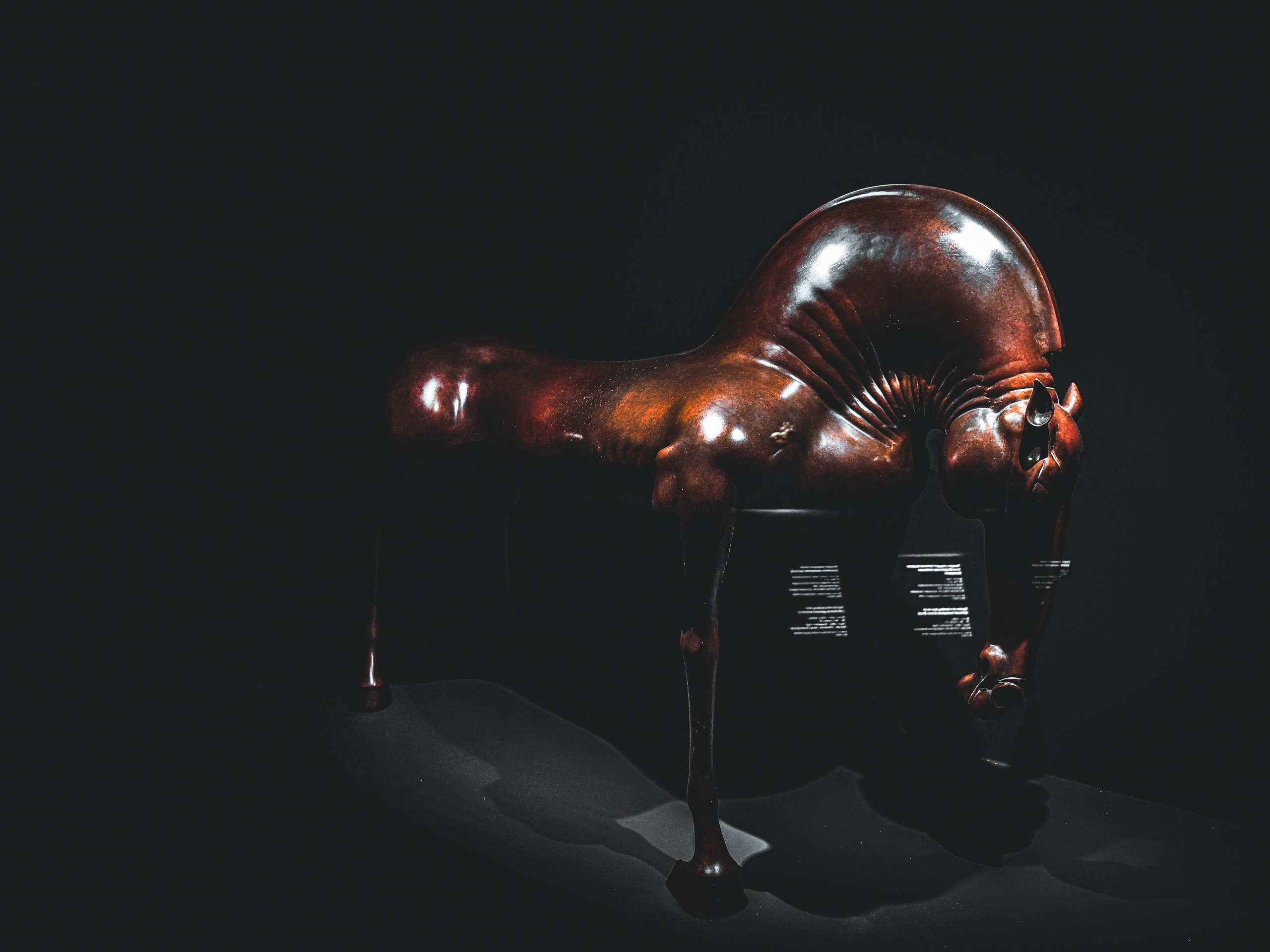 Выставка «Сны Сибири». Игорь Урывский. Фотограф Красноярск