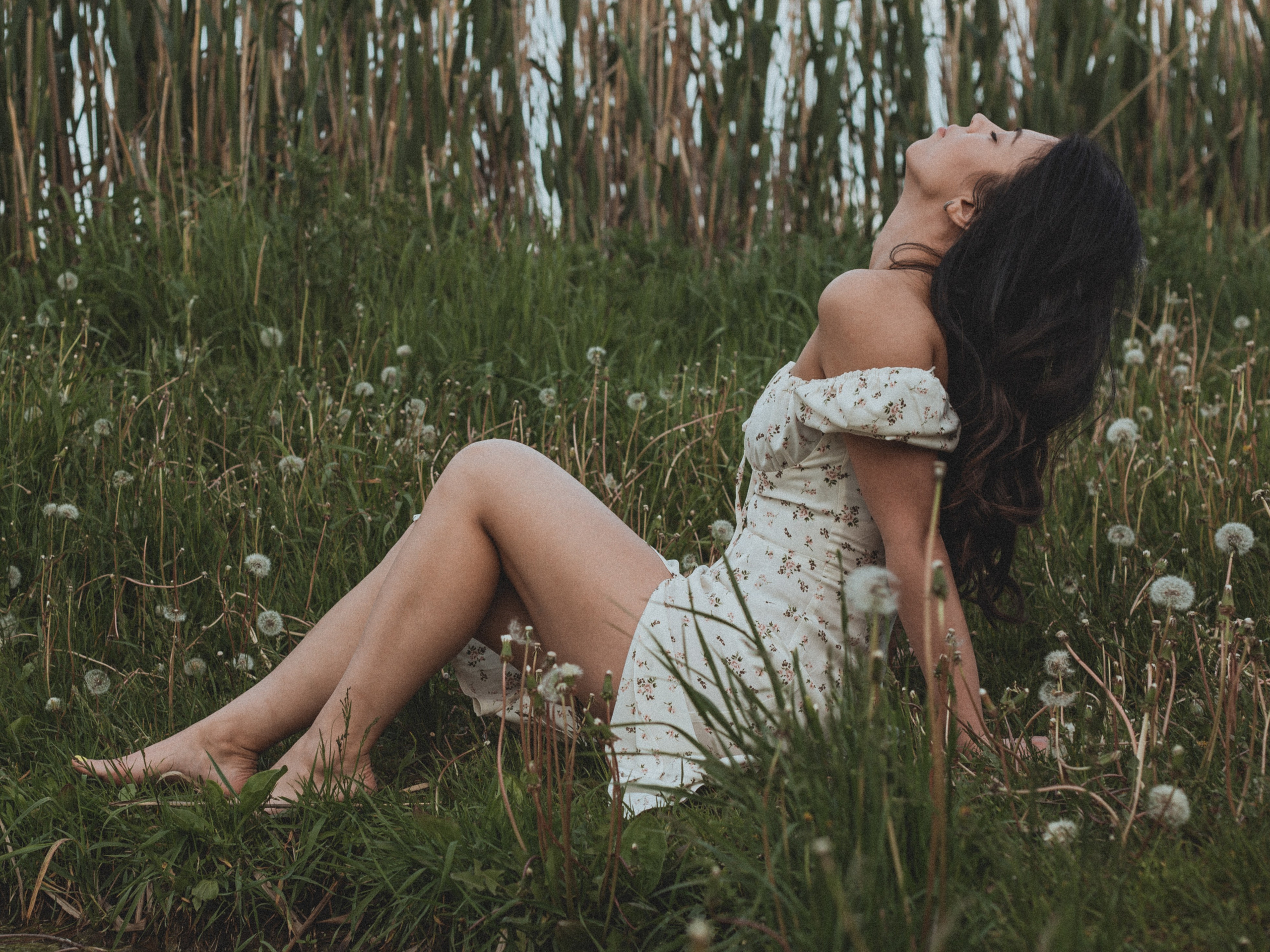 Поле. Фотограф Москва / Балашиха