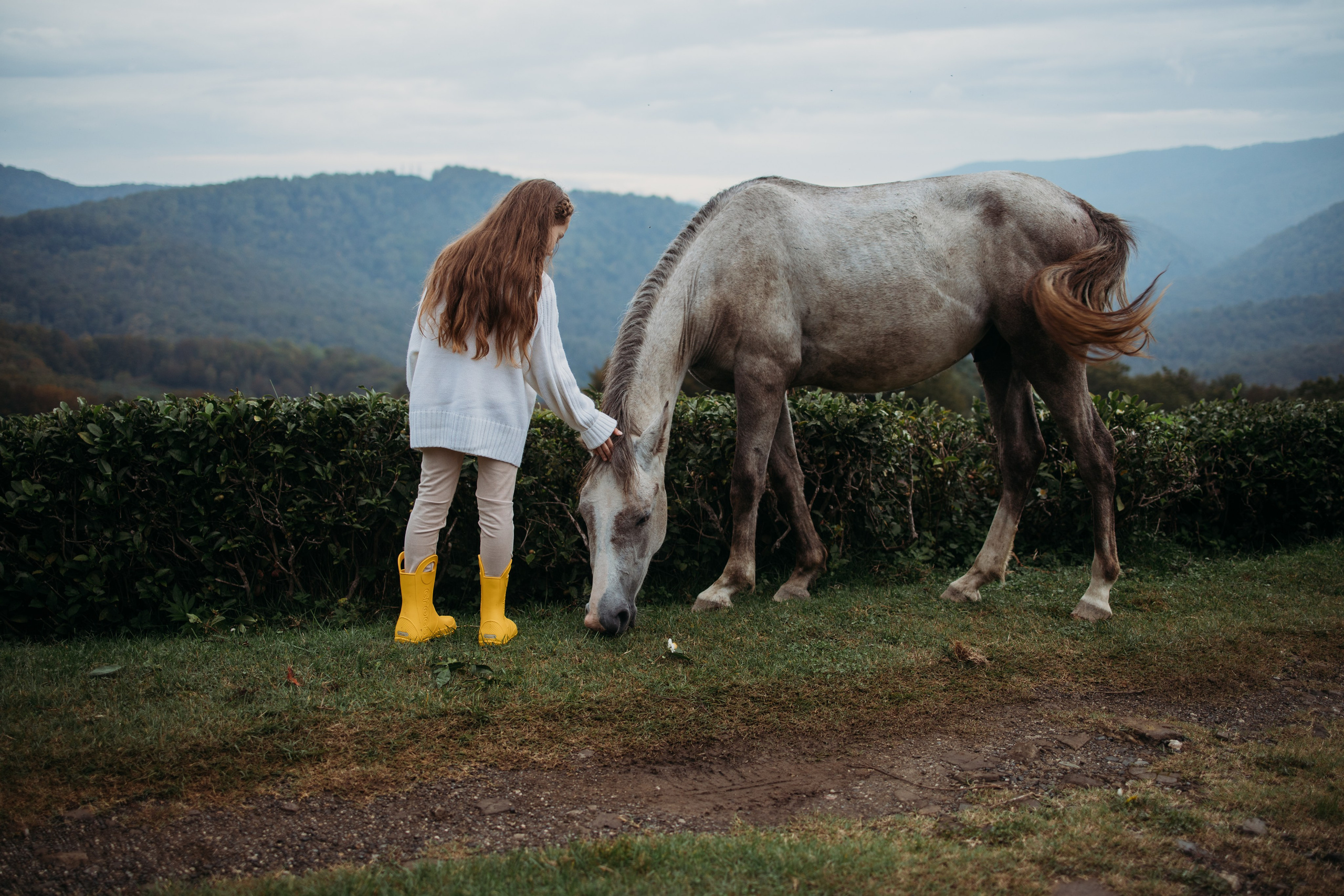 Чайные плантации мацеста. Фотограф Сочи Татьяна Зорина