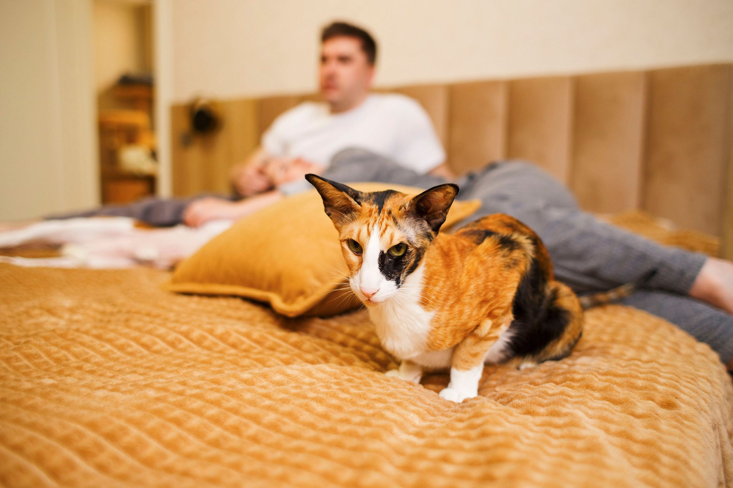 Дома. Photographer in Montenegro Tatiana Talaeva