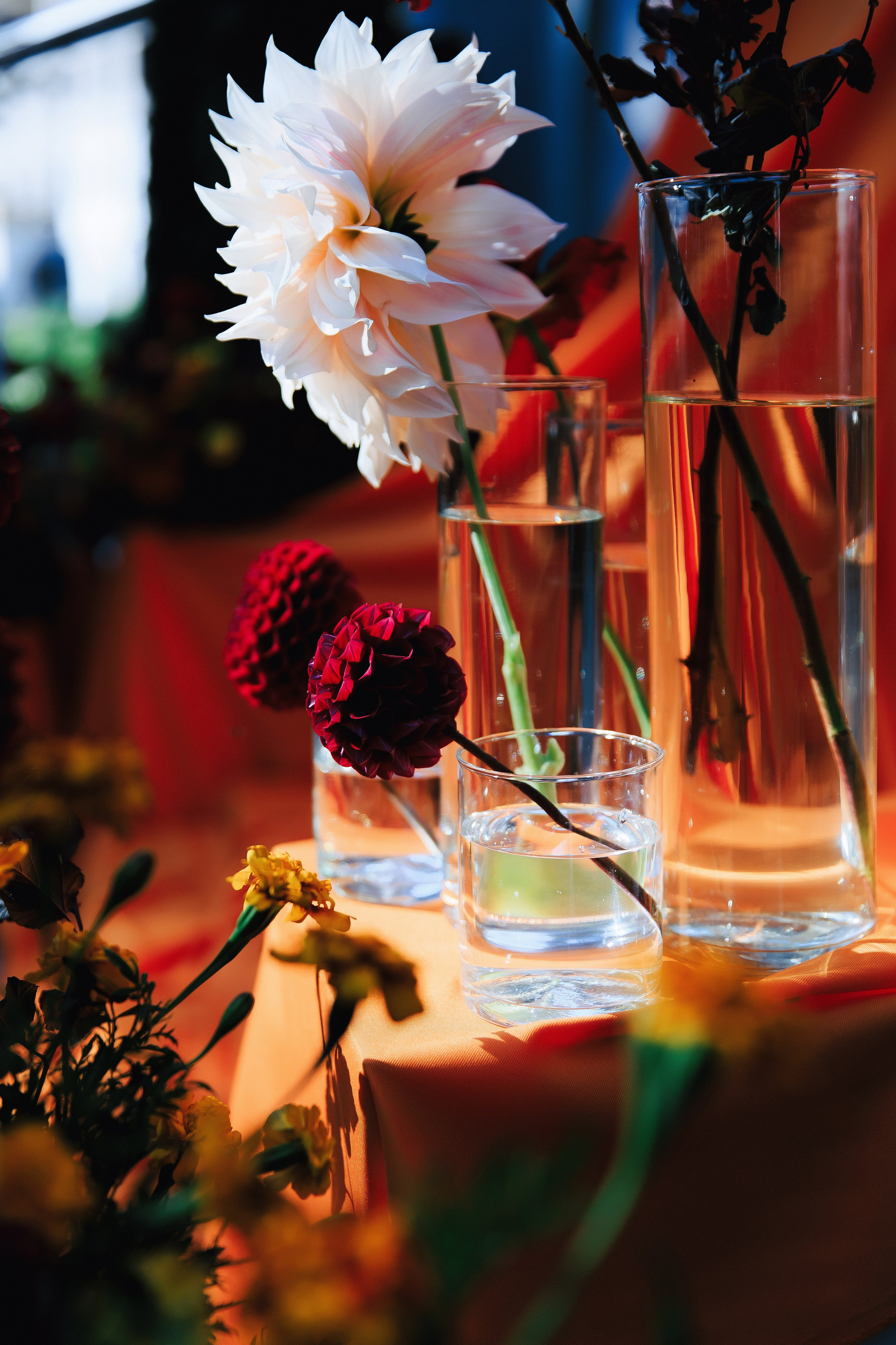 Антонина & Ярослав