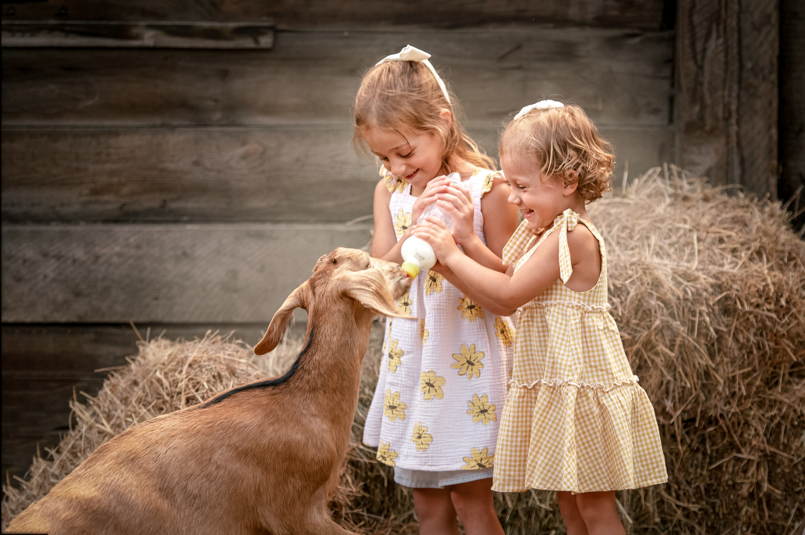 ДЕРЕВЕНСКИЕ ИСТОРИИ. Семейный и детский фотограф в Канске и Канском р-не, Красноярск и