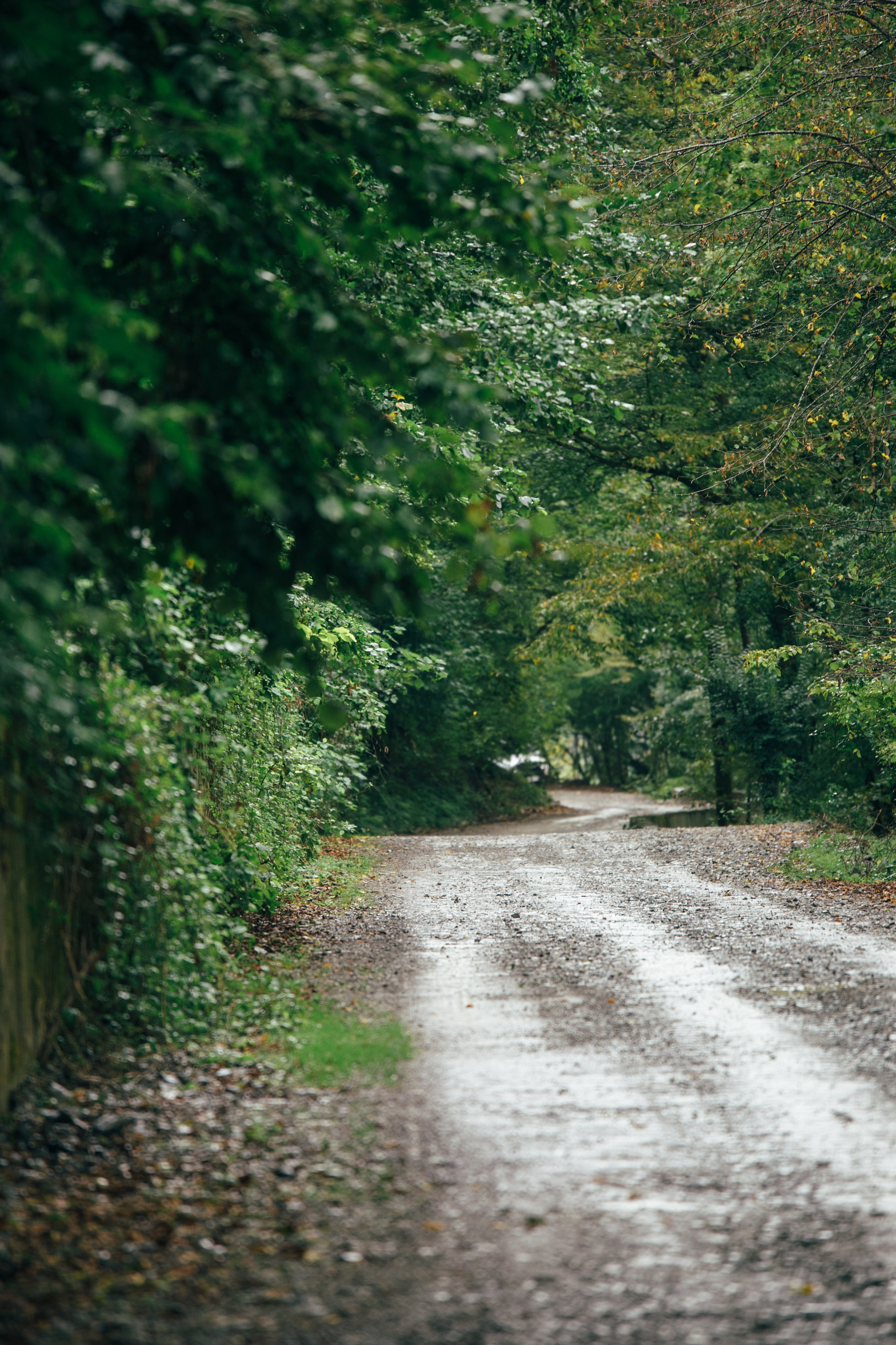 Оштенский Кордон. Семейный фотограф в Белгороде