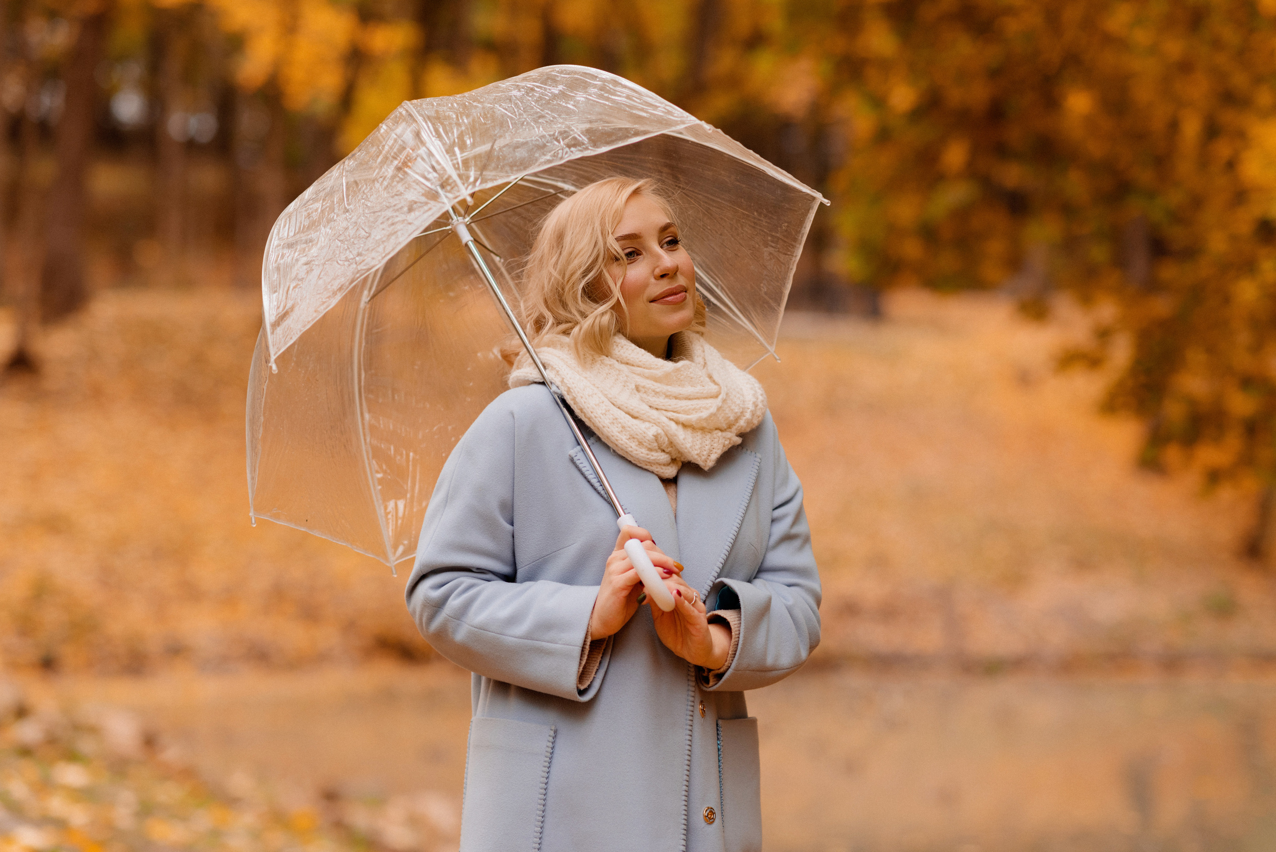 Софья в осеннем парке. Профессиональный фотограф. Портрет, семья, дети