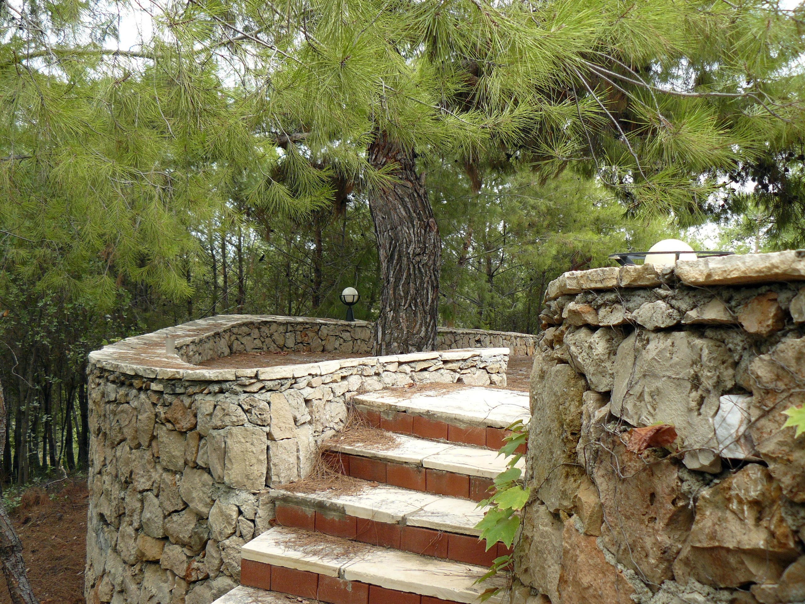 Кемер, Чамьюва 2008. Избранные фотографии