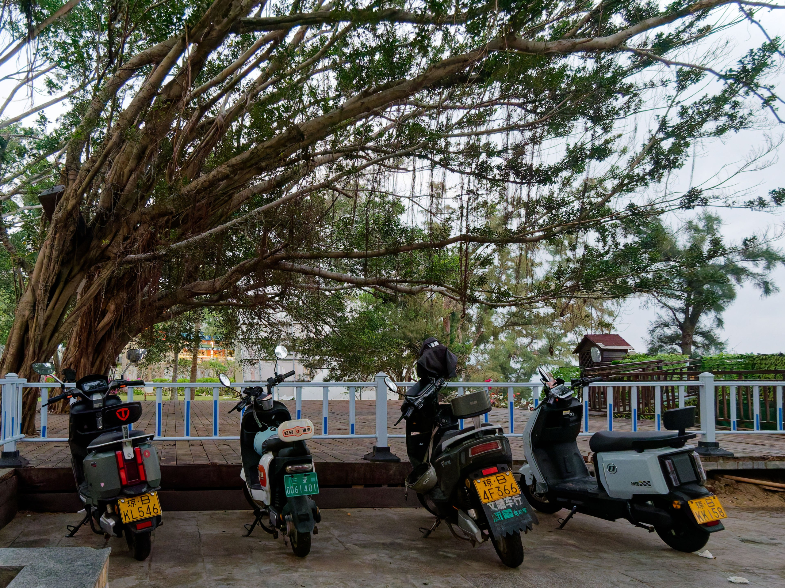 Хайнань 2026, улицы Ялунвань и Саньи. Фотопрогулки по Миру