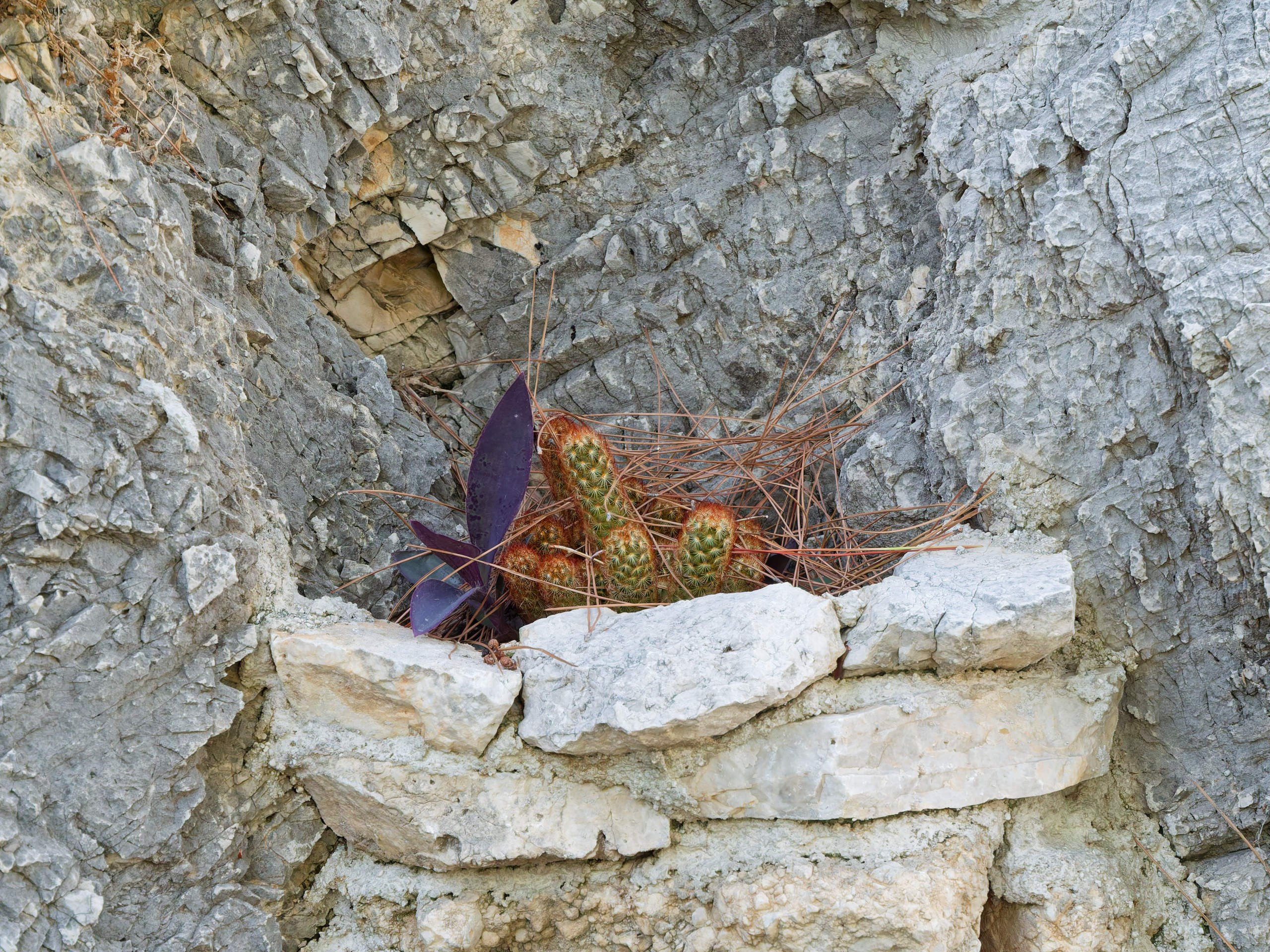 Алания 2025, крепость Alanya Kalesi. Избранные фотографии