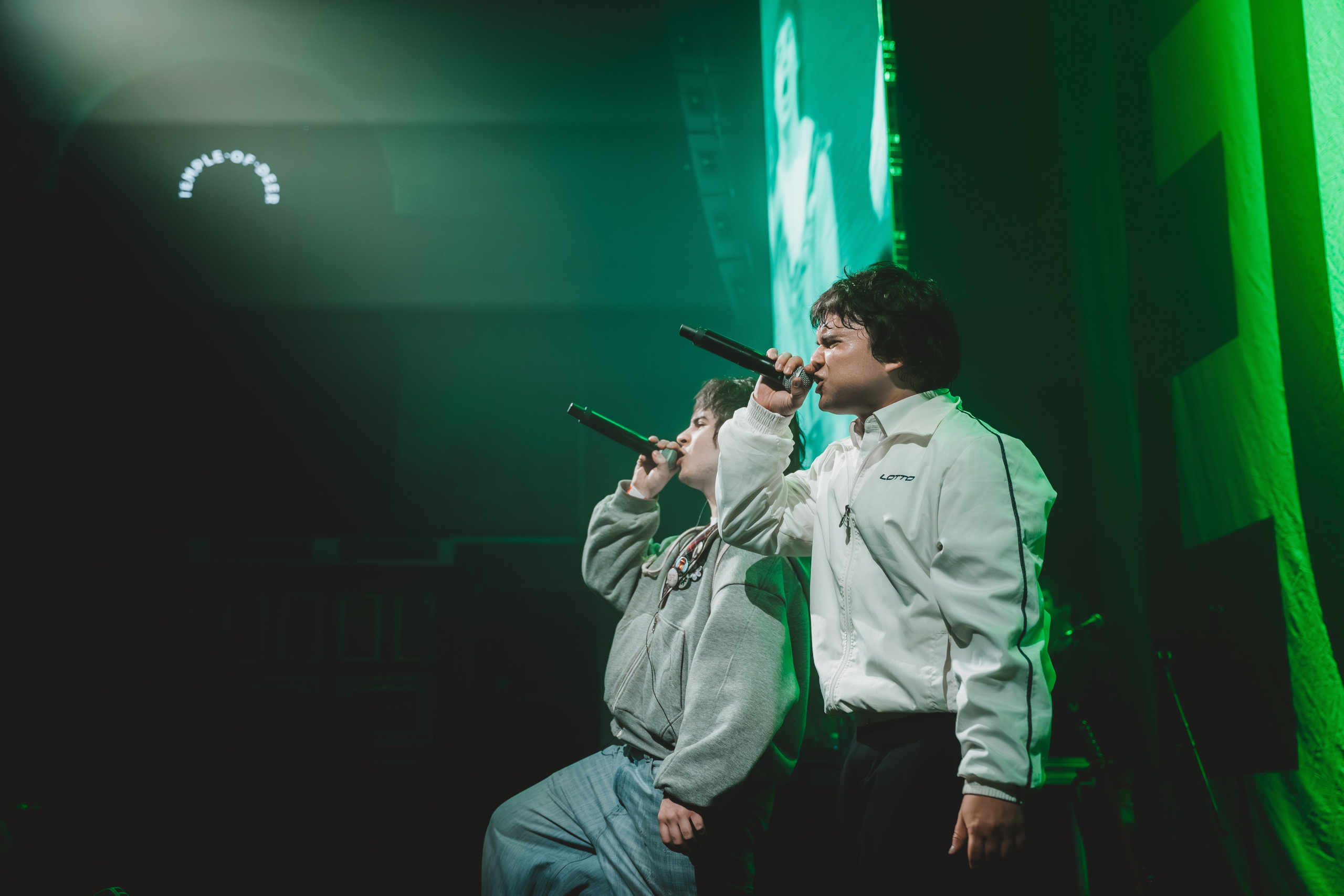 SALUKI. Фотограф Санкт-Петербурга