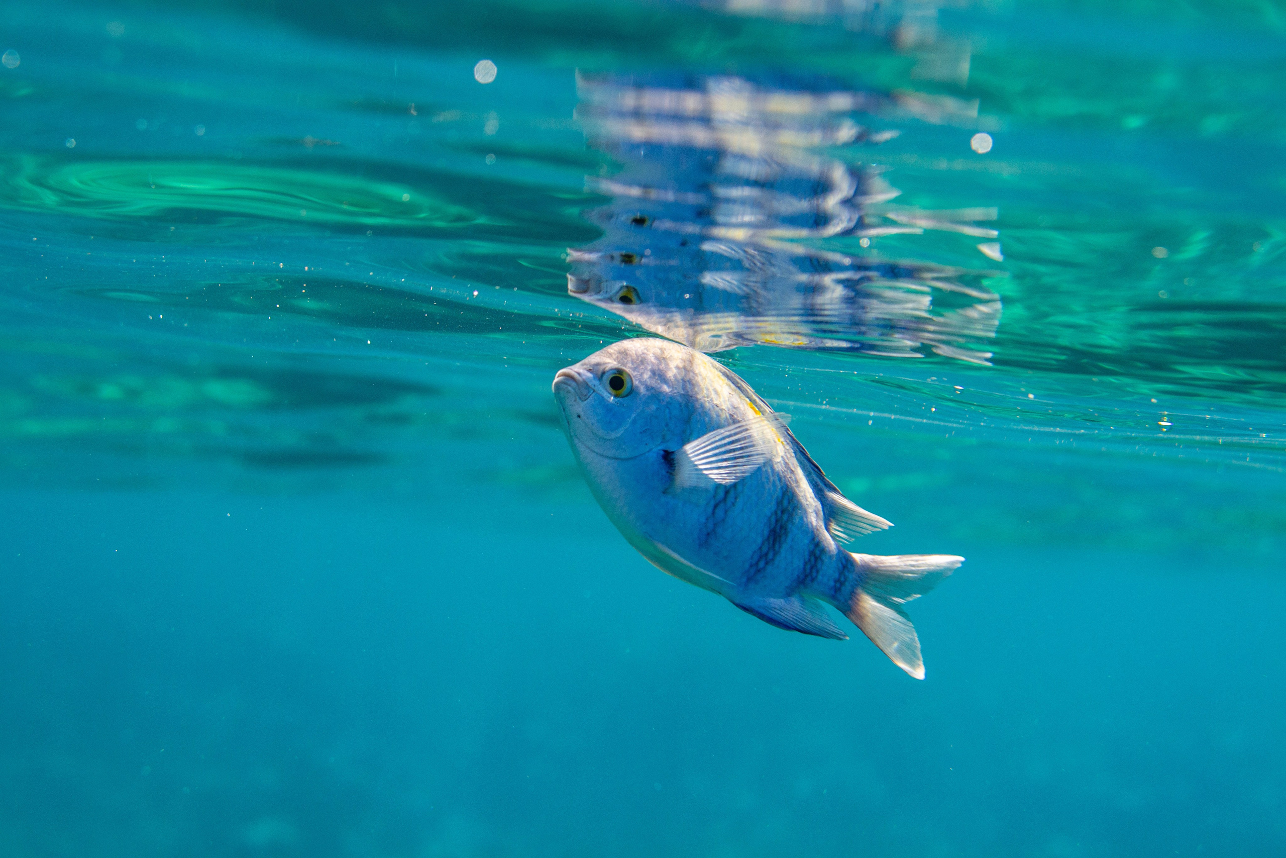 Море. Фотограф в Санкт-Петербурге Ибрагимова Алина