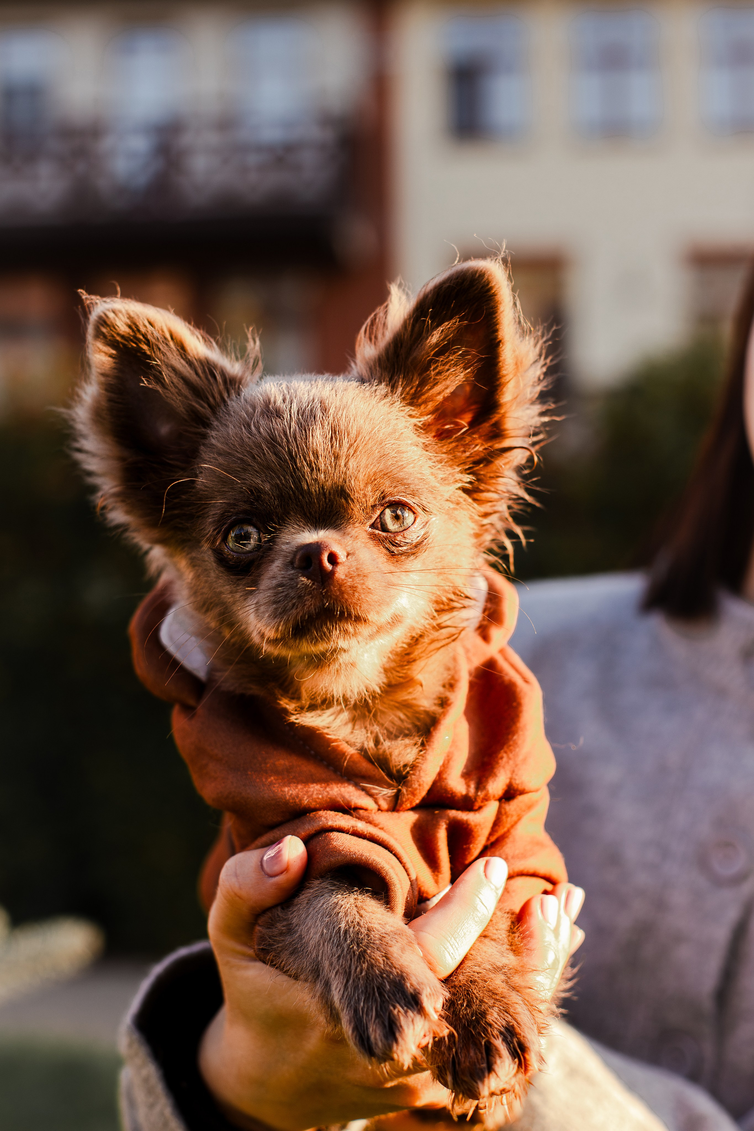Варя и Фунтик. Фотограф-анималист Мария Баркевич | Москва