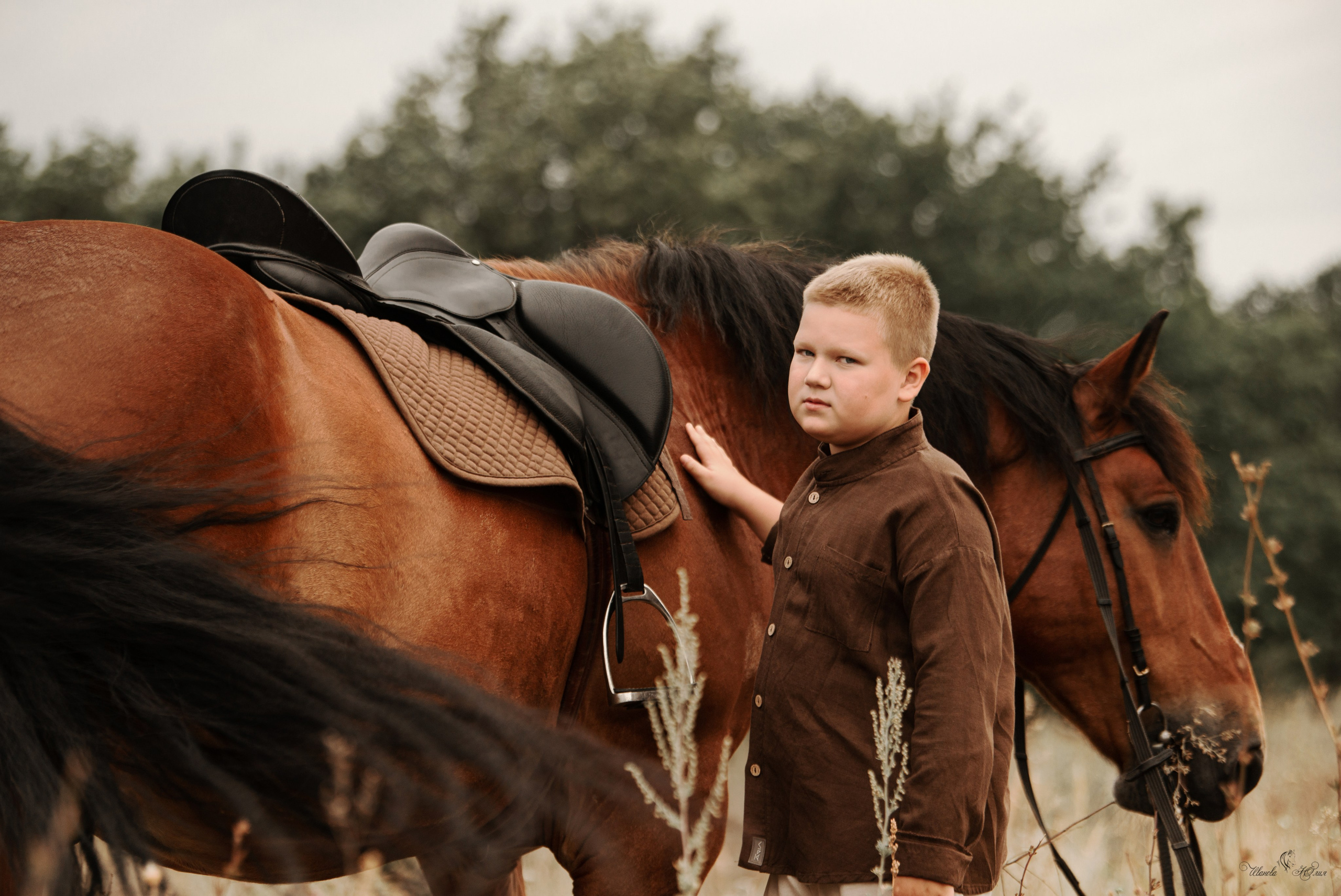 Захар и Спартак. Конный фотограф в Саратове Юлия Иванова