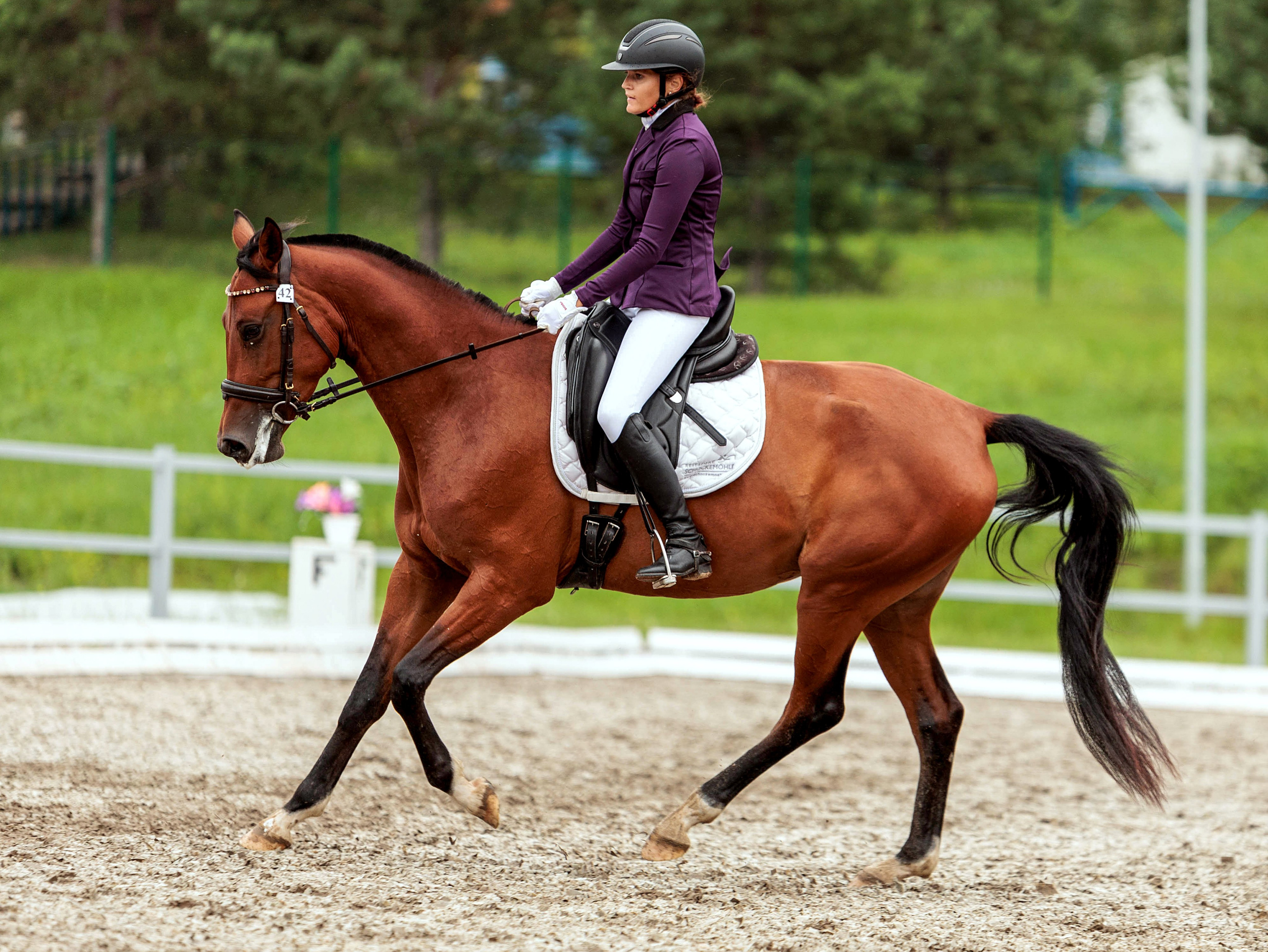 2025. Конный фотограф в Красноярске — Любовь Похабова