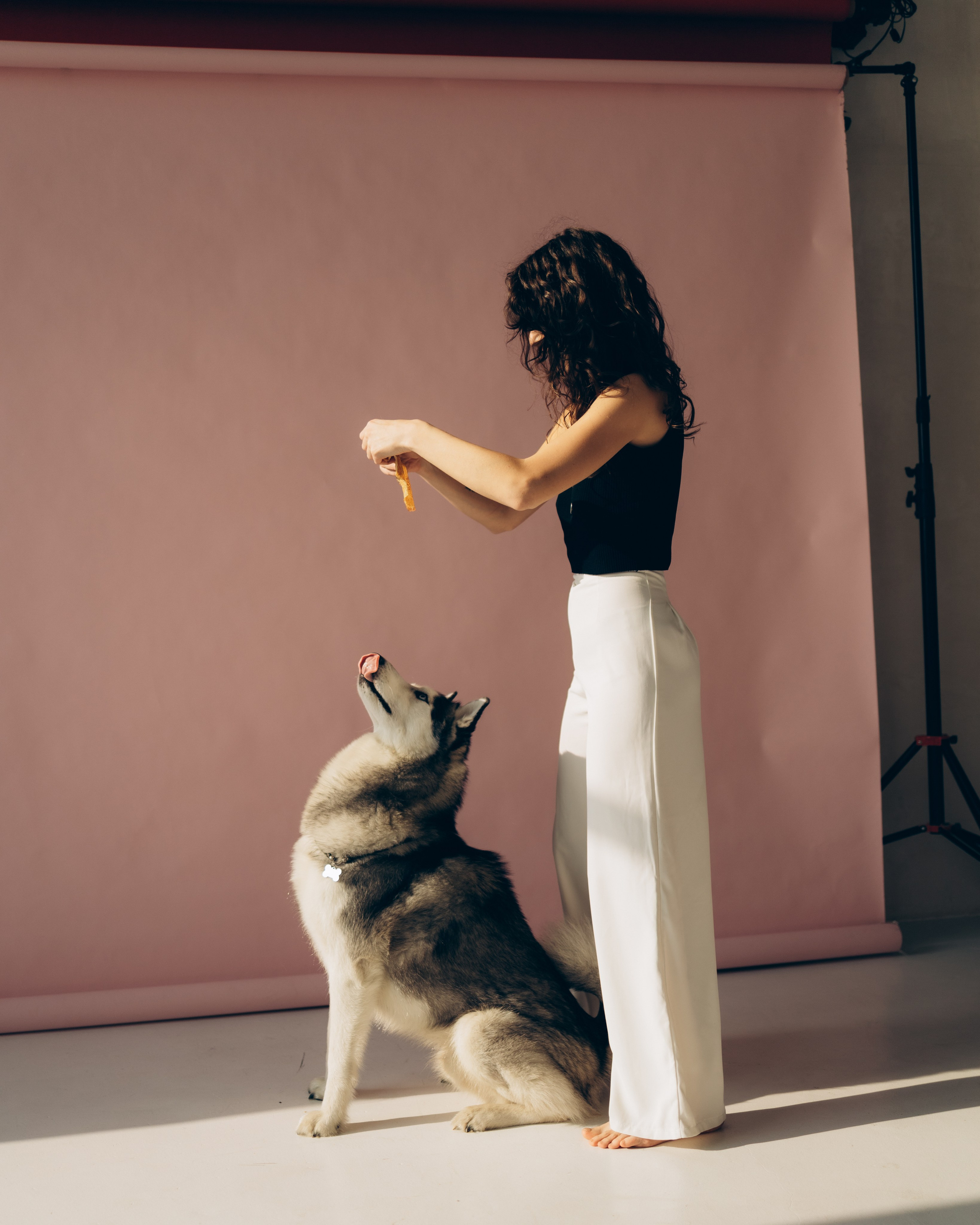 Алина и Локи. Главная