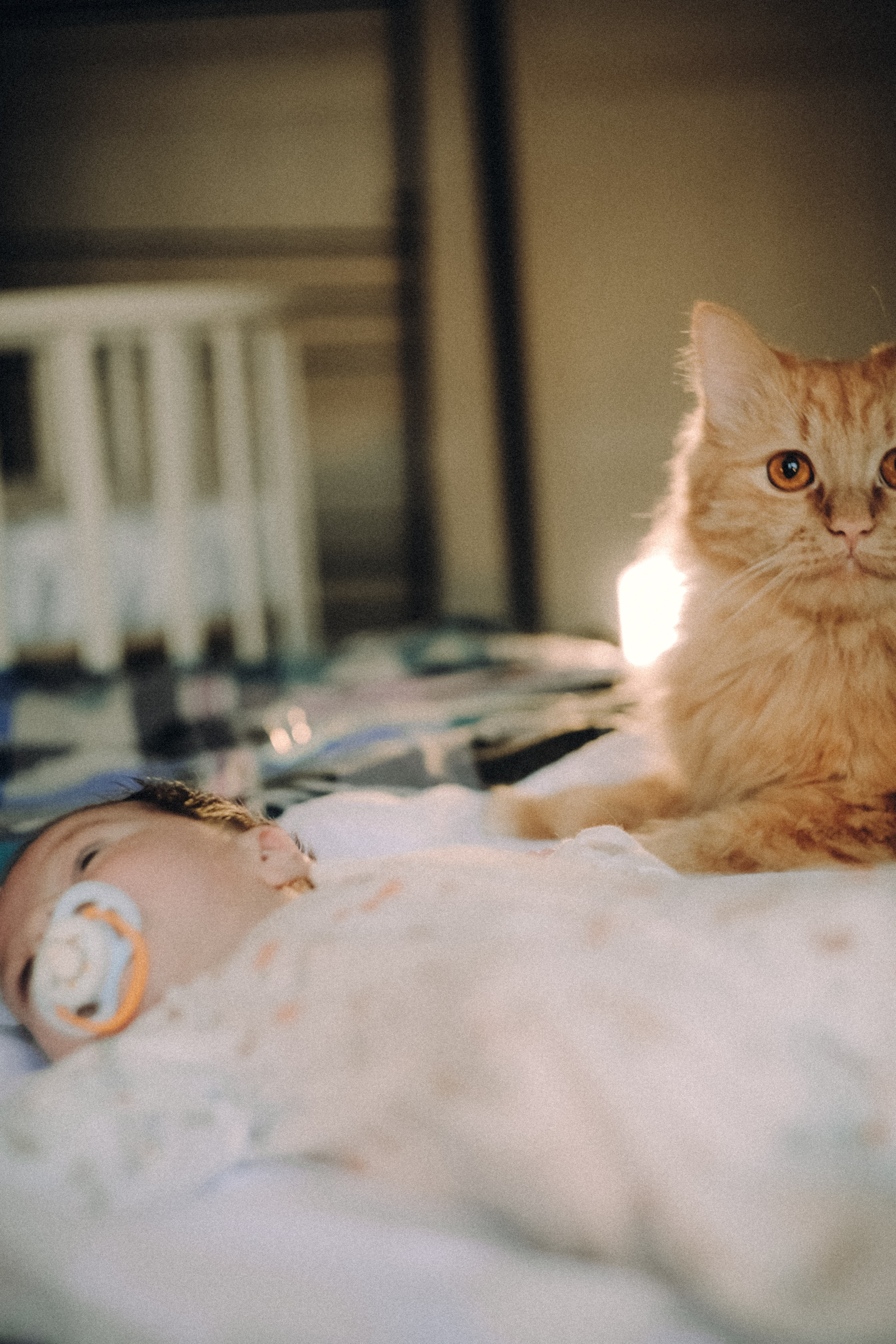 Портреты. Ph___tina