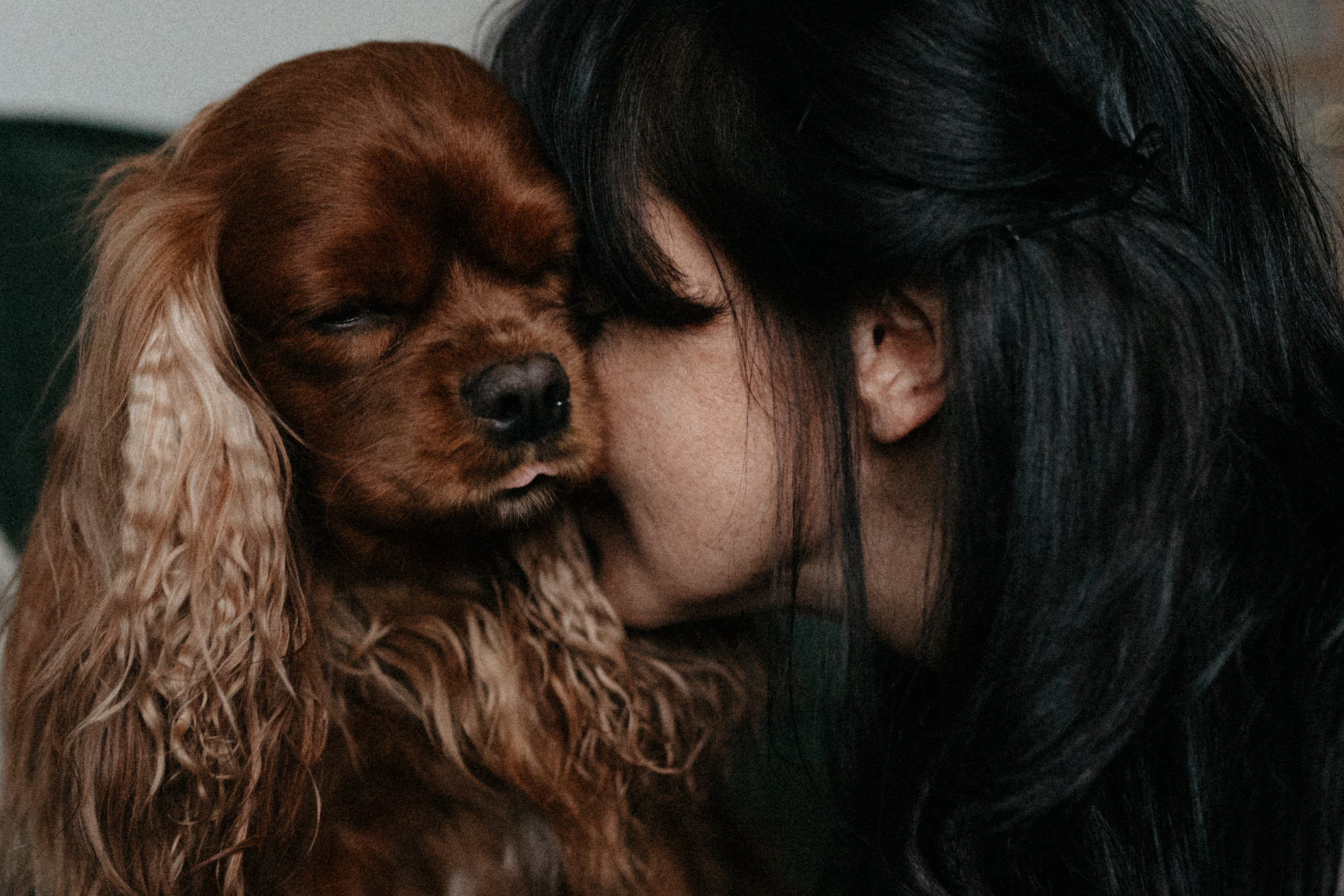 Оля и её меховая банда. Фотограф анималист в Москве Ольга Агушева