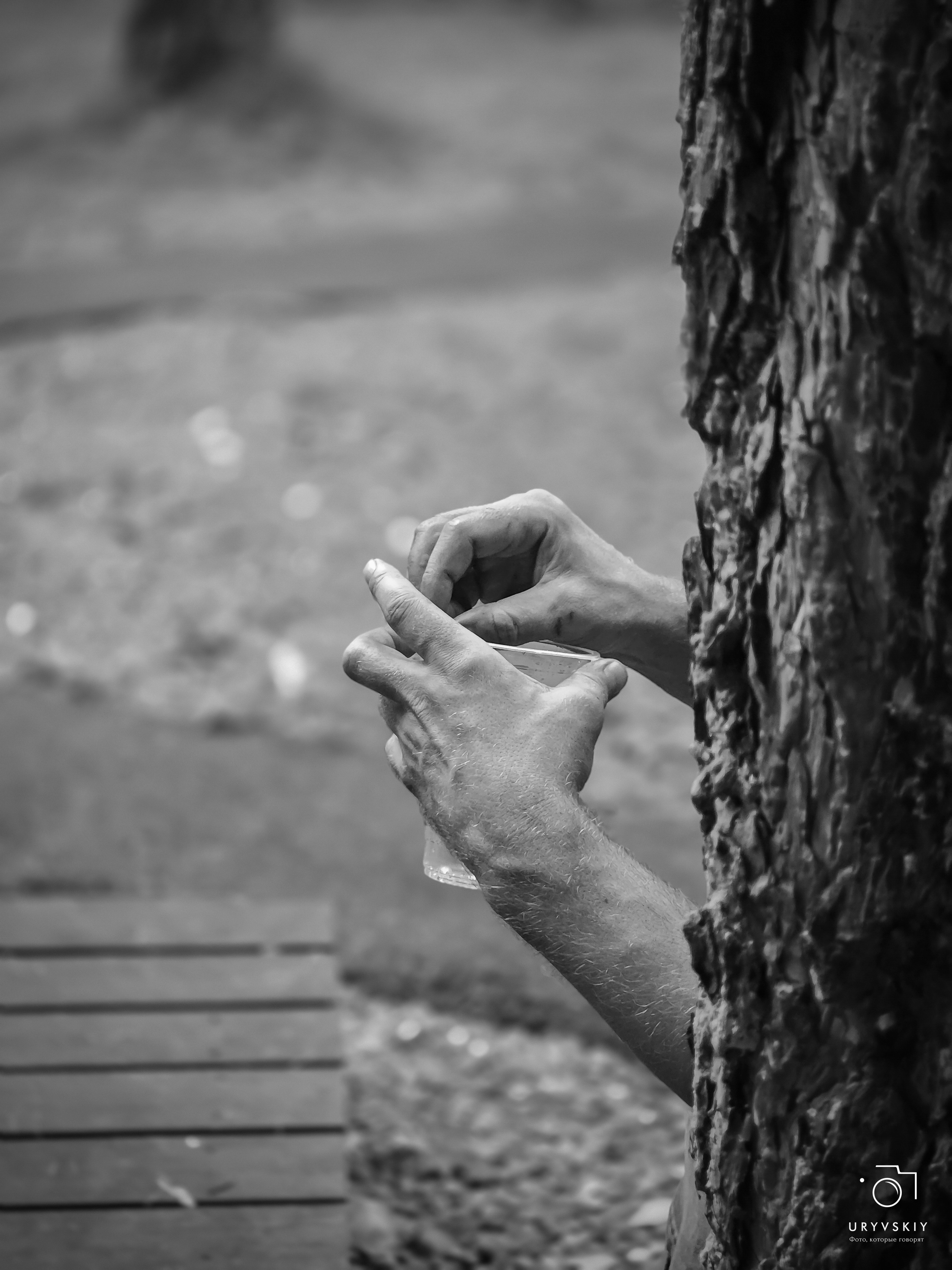 Командор, Хороший. День торговли 2025. Игорь Урывский. Фотограф Красноярск