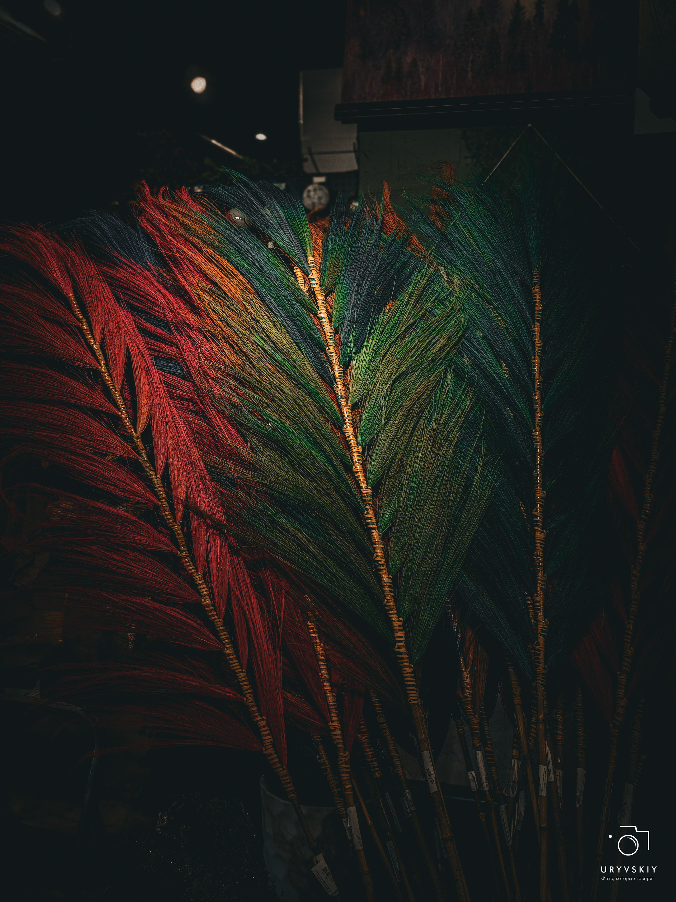 Bellini Осенний маркет. Игорь Урывский. Фотограф Красноярск