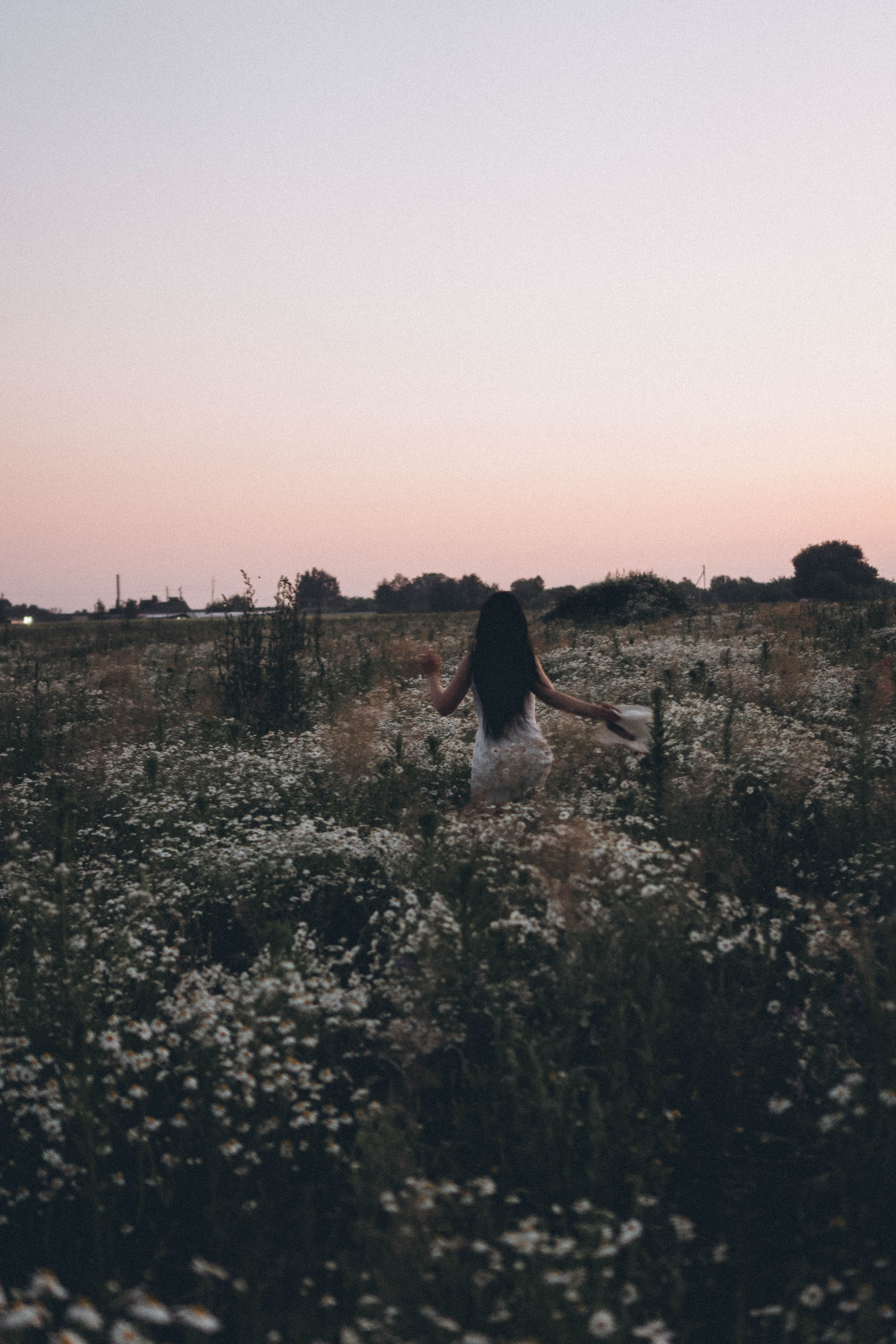 Ромашковое поле. Профессиональный фотограф, Санкт-Петербург — Виктория Богомолова
