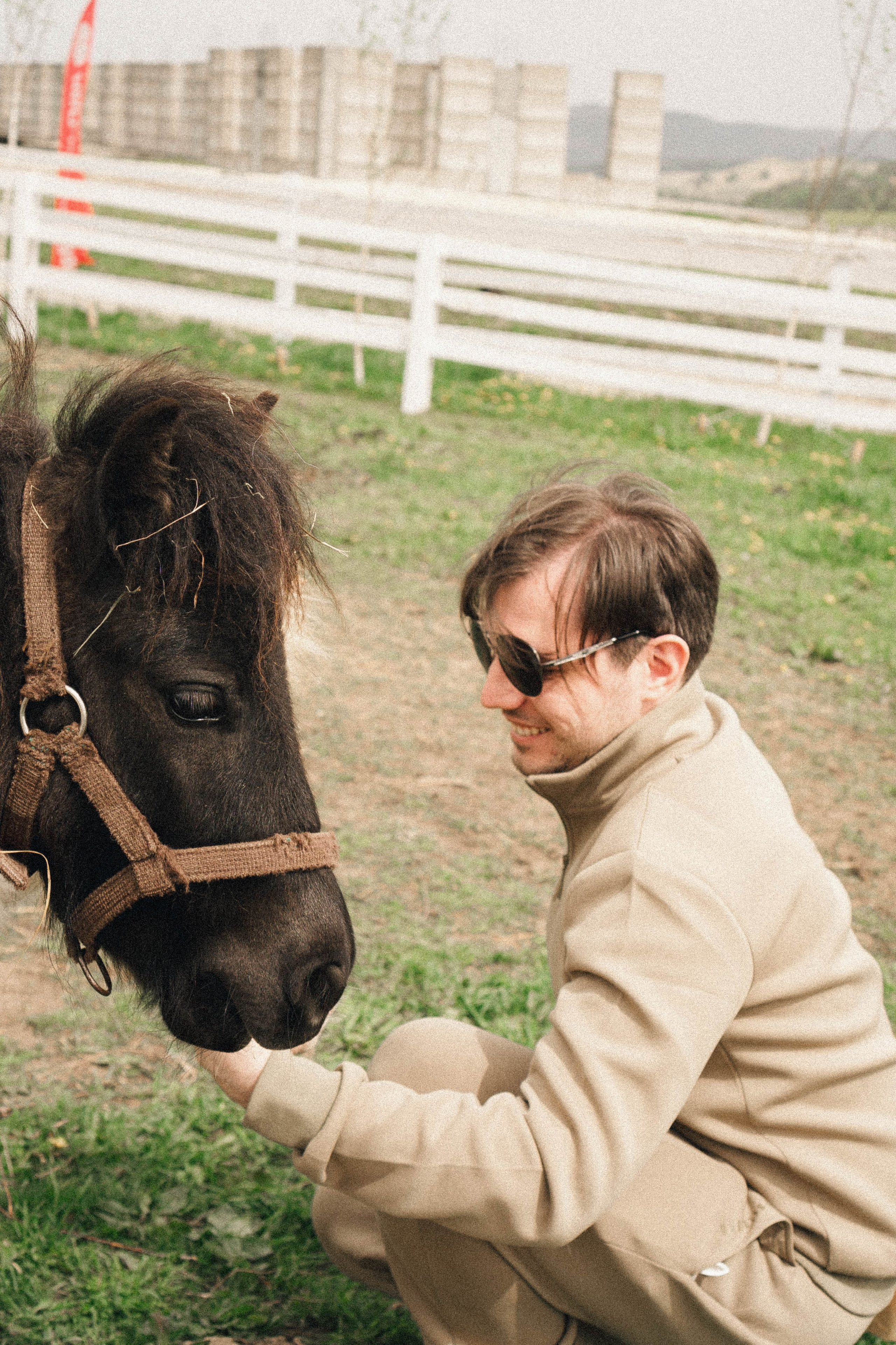 Ферма Альпак. Профессиональный фотограф, Санкт-Петербург — Виктория Богомолова