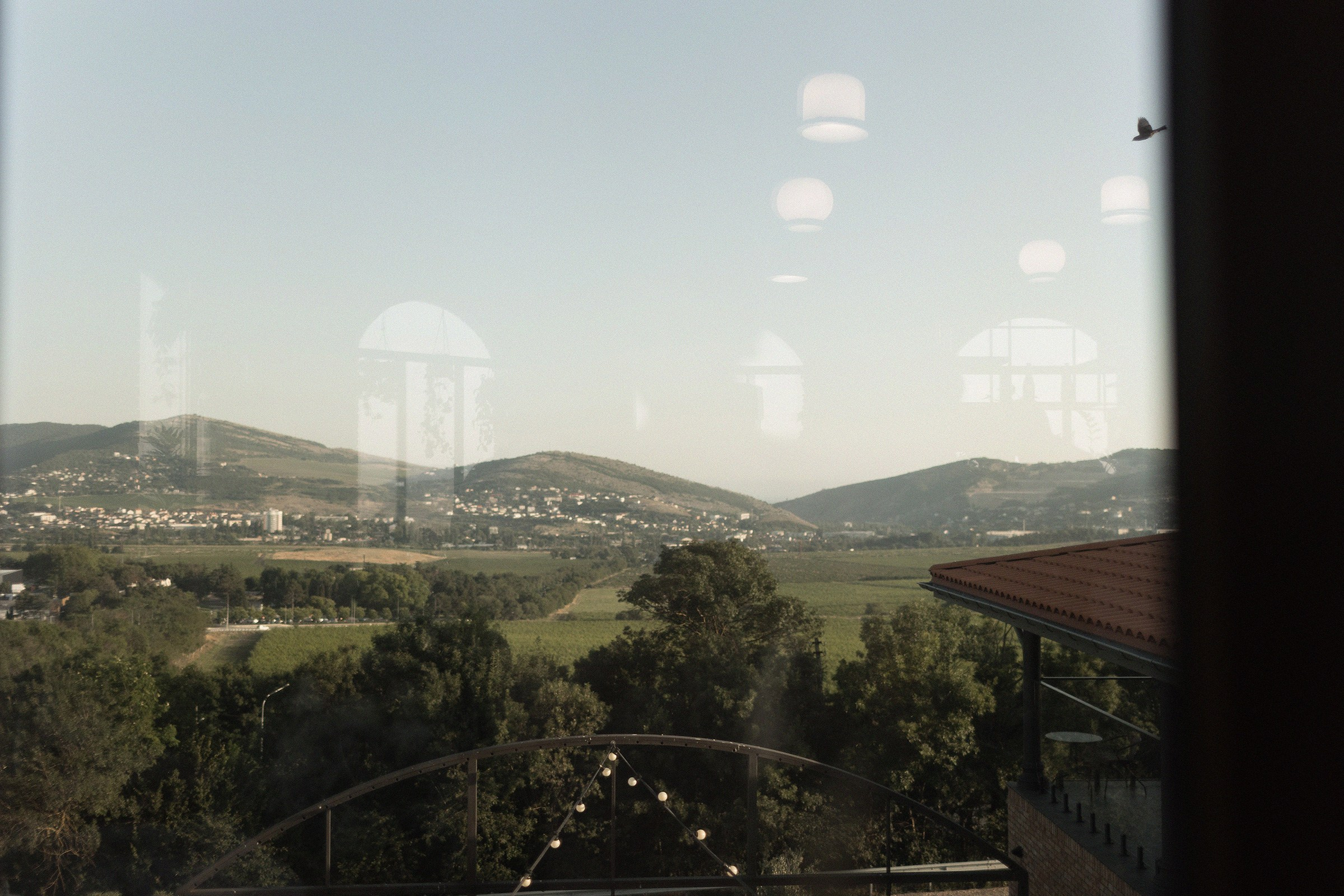 I'll always choose you. Sovushka DS