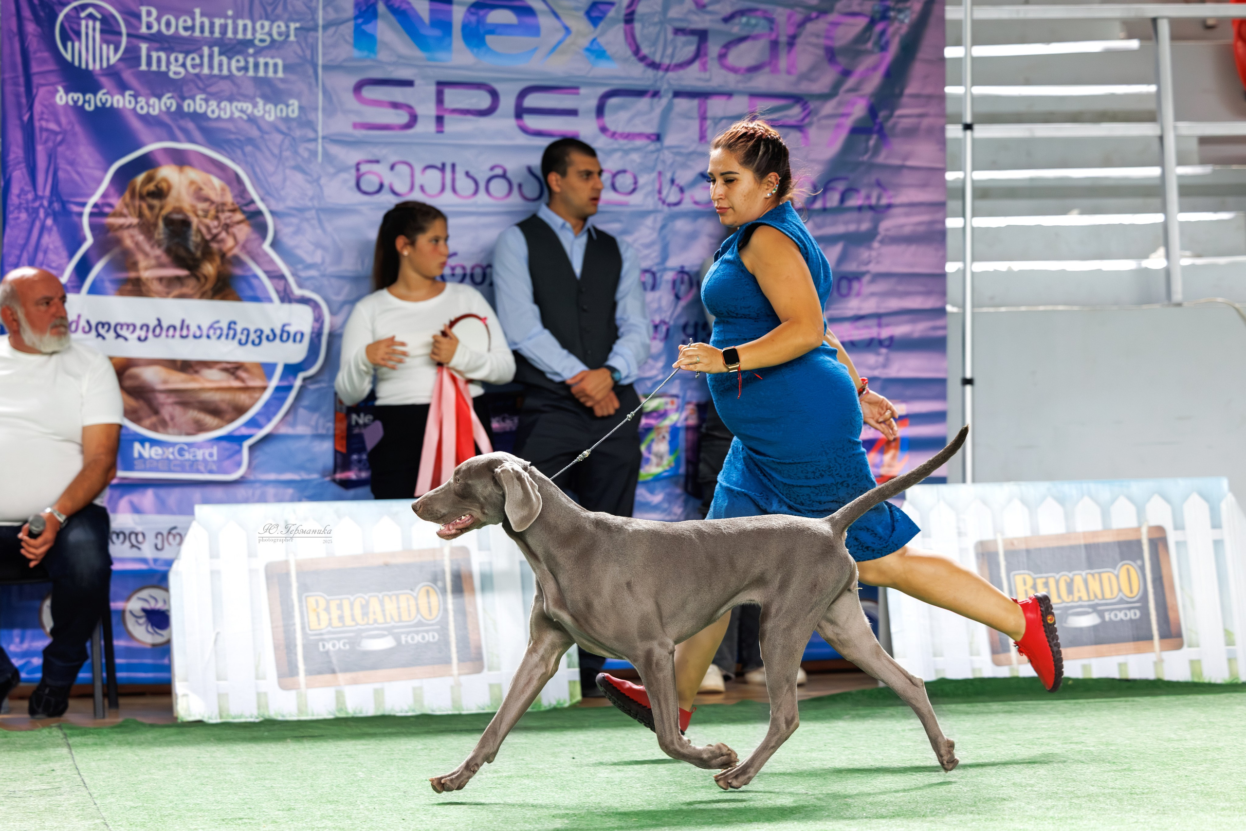 Телави 11-12.10.2025. Фотограф-анималист Юлия Германика