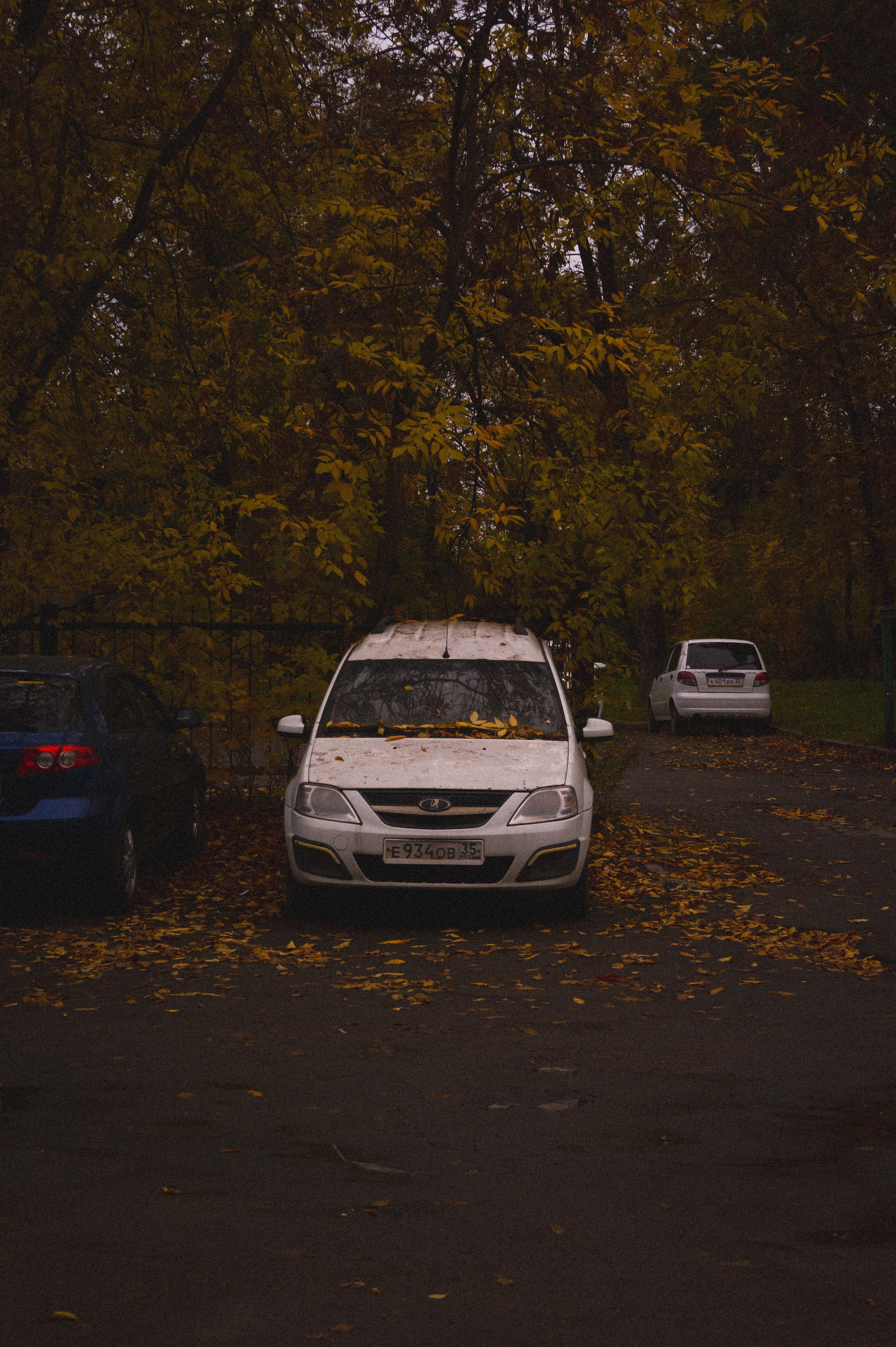 Октябрь 2025. Den Mirov — Фотограф, Музыкант