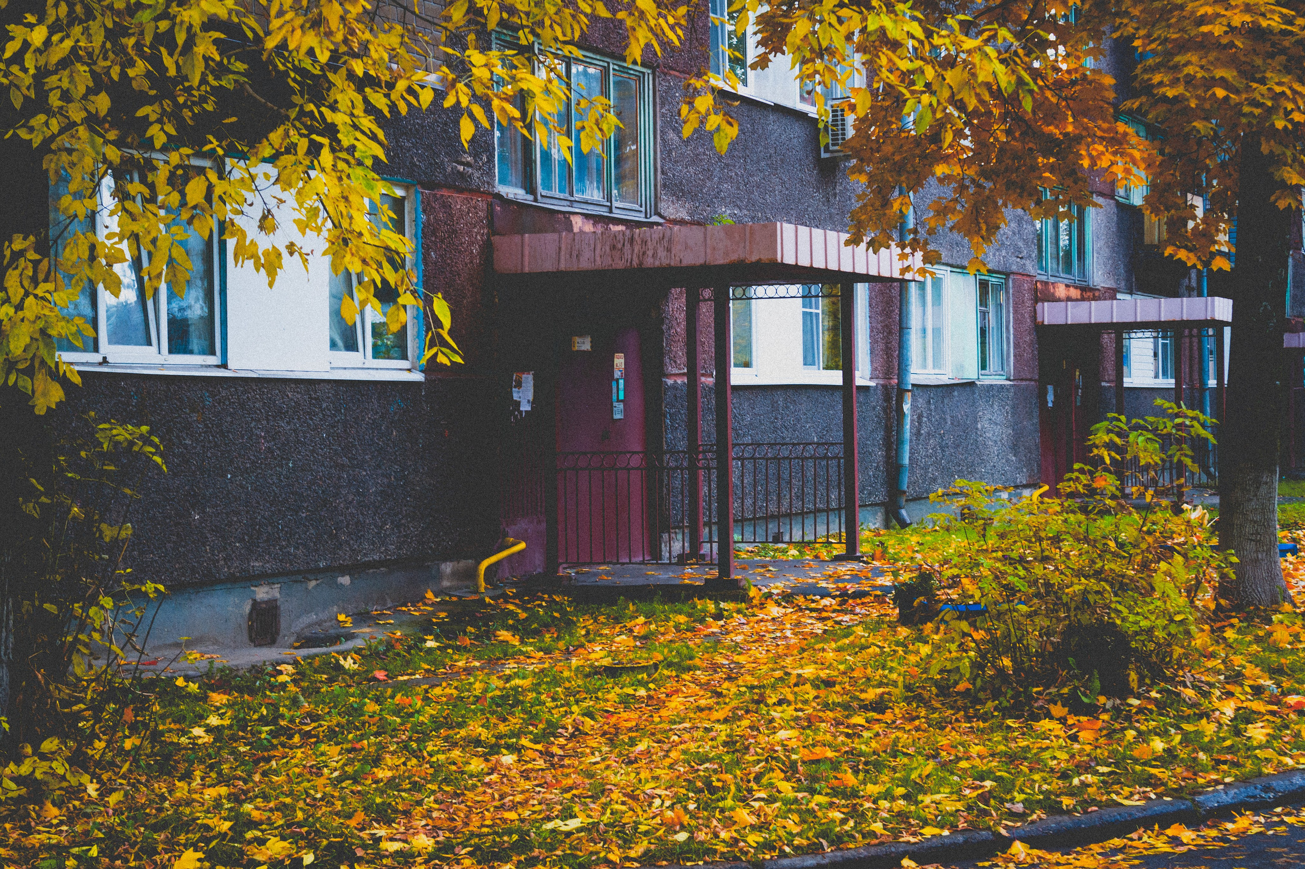 Октябрь 2025. Den Mirov — Фотограф, Музыкант