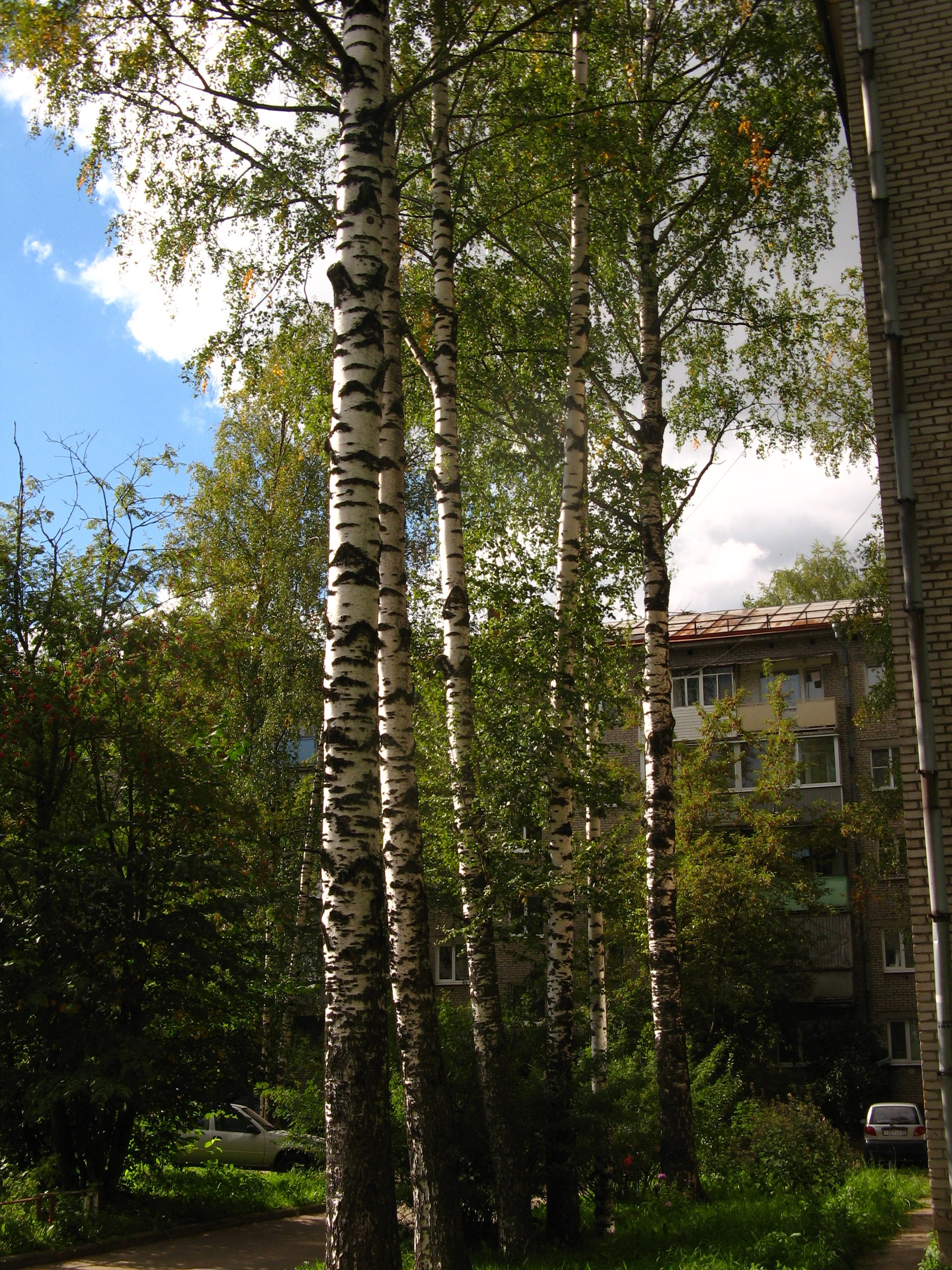 Сентябрь 2025. Den Mirov — Фотограф, Музыкант