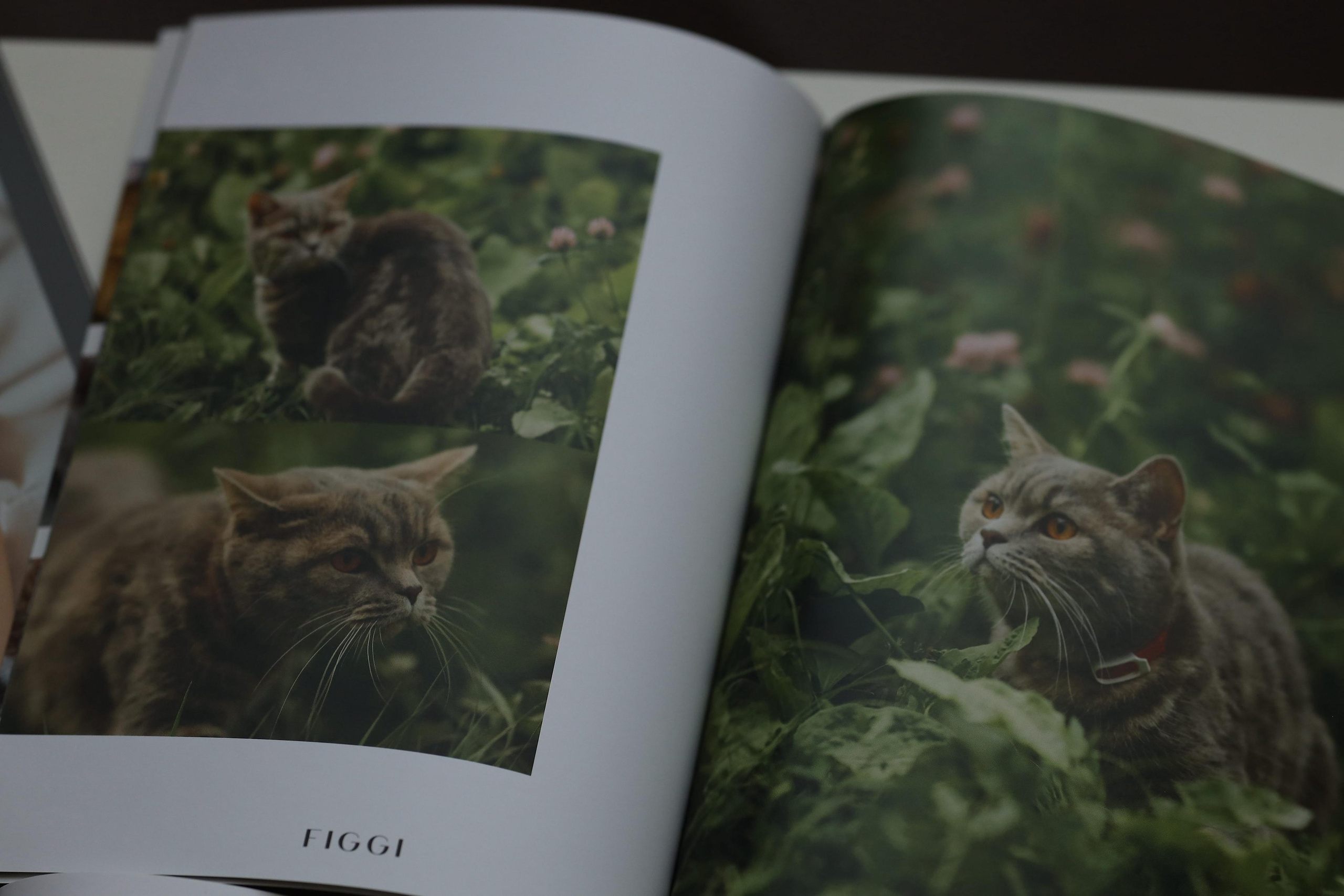 Публикации в журналах. Семейный и детский фотограф в Алматы Юровских Инесса