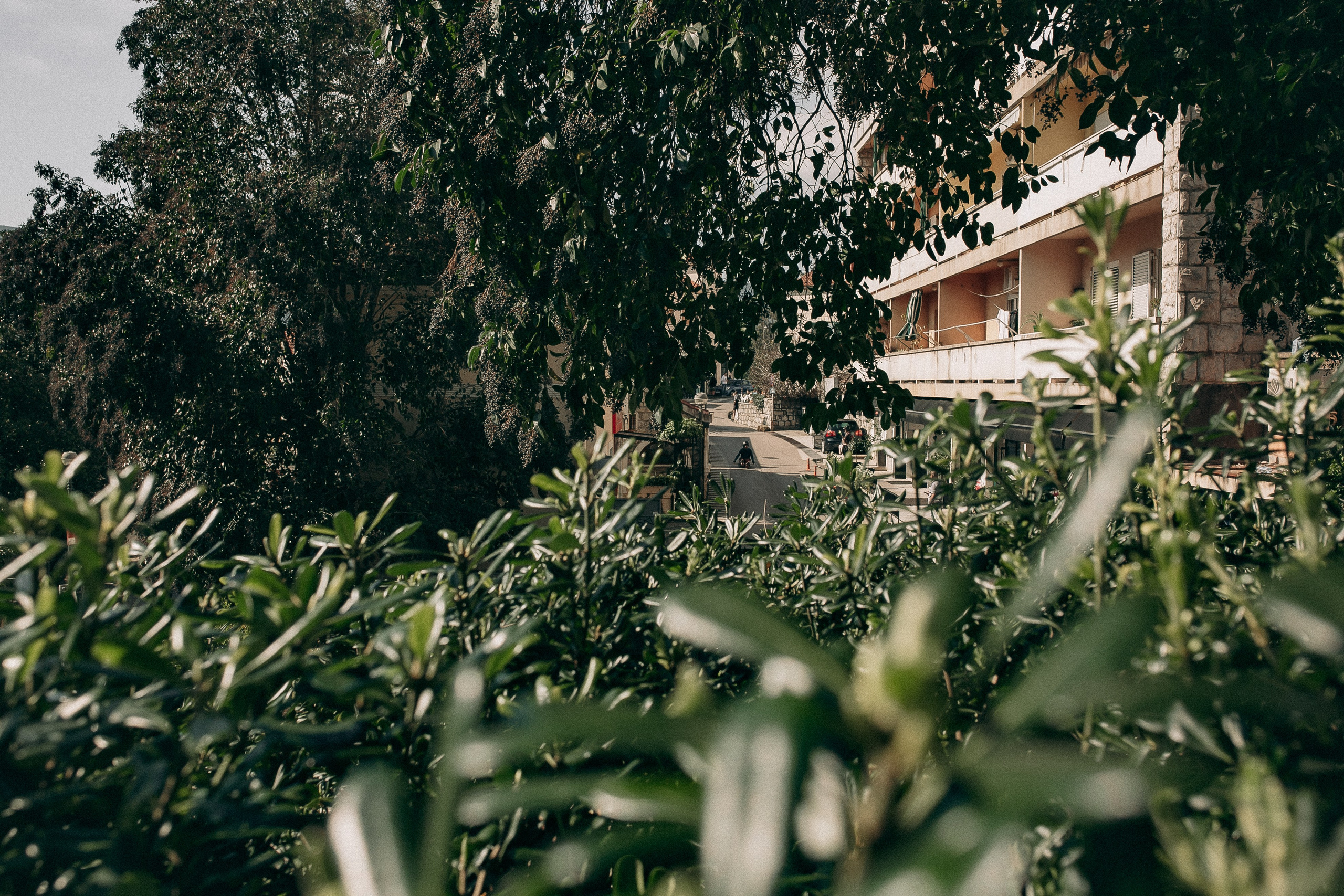 Гонки на самодельных болидах в Херцег-Нови. Семейный и свадебный фотограф в Черногории Татьяна Белякова