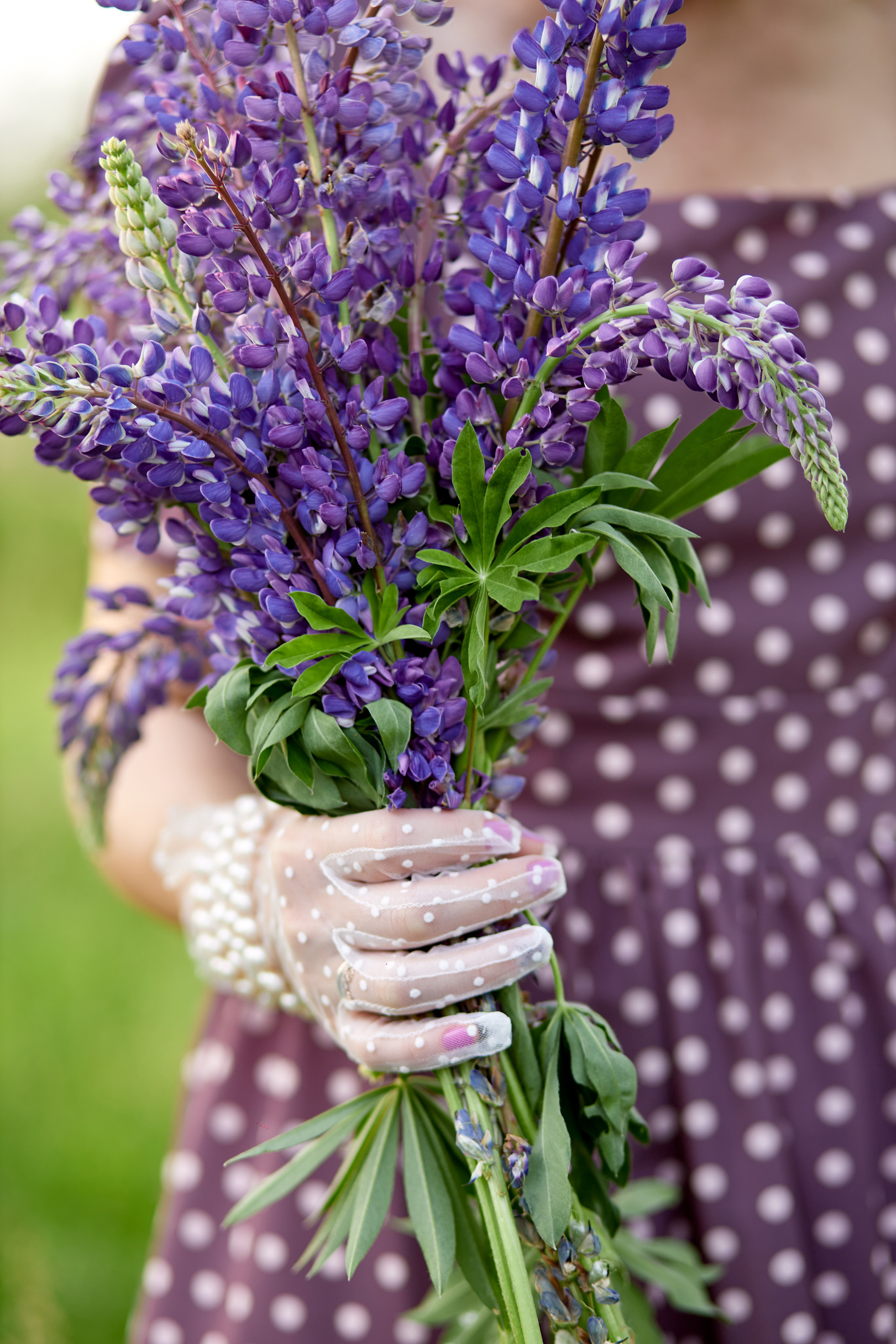Фотосессия в люпинах. Фотограф в Минске Анна Кучинская