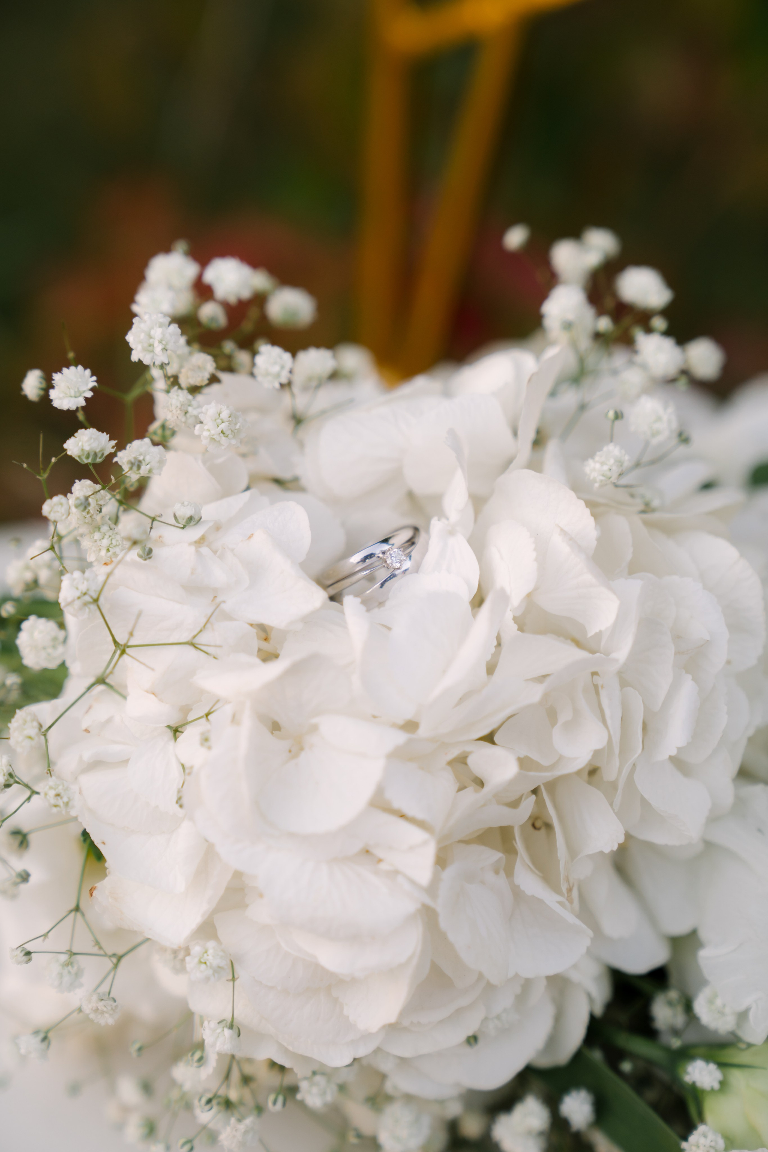 Александр и Анастасия. Свадебный фотограф Воронеж Марина Грудинина