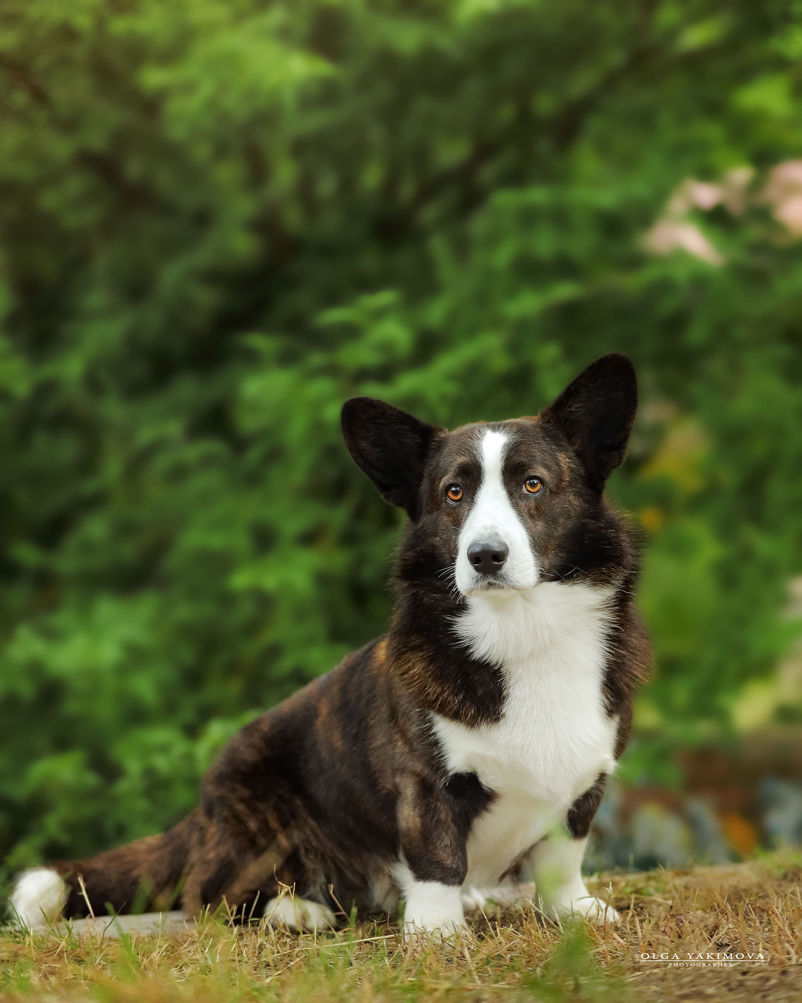 Экстерьер. Фотограф