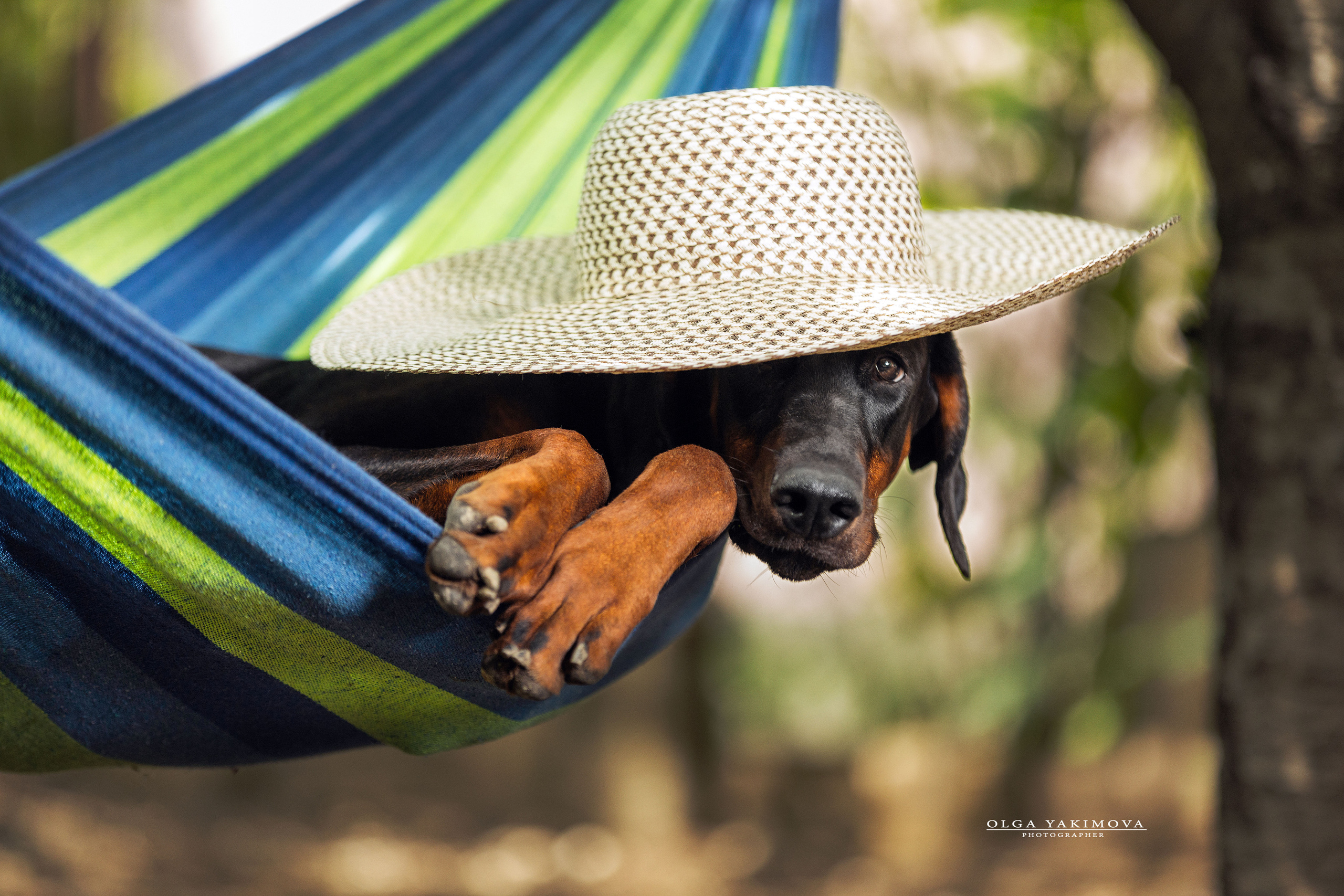 Экстерьер. Фотограф