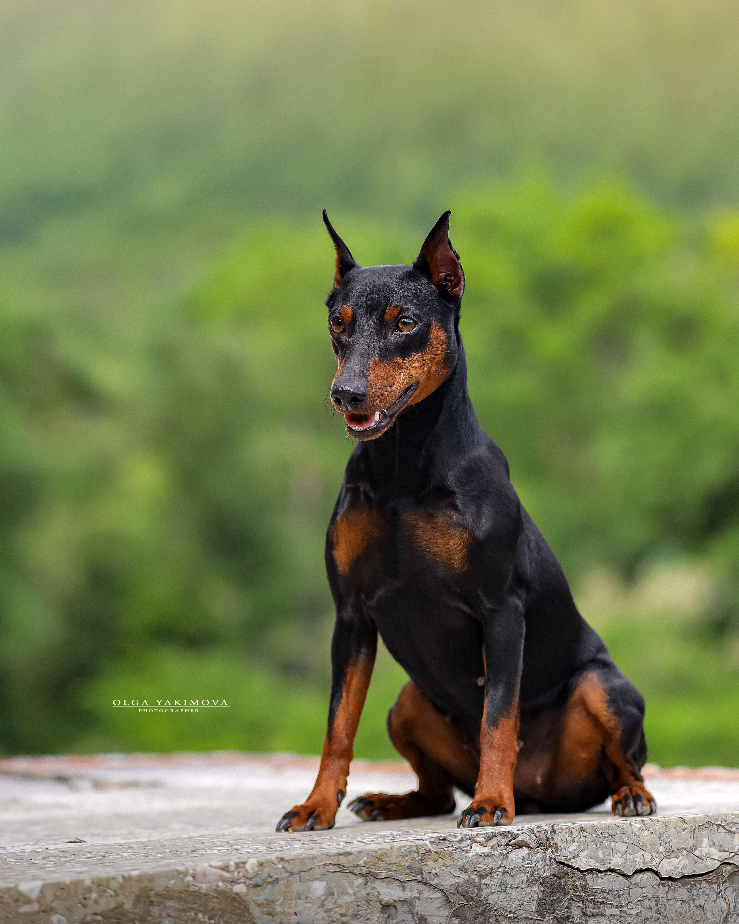 Экстерьер. Фотограф