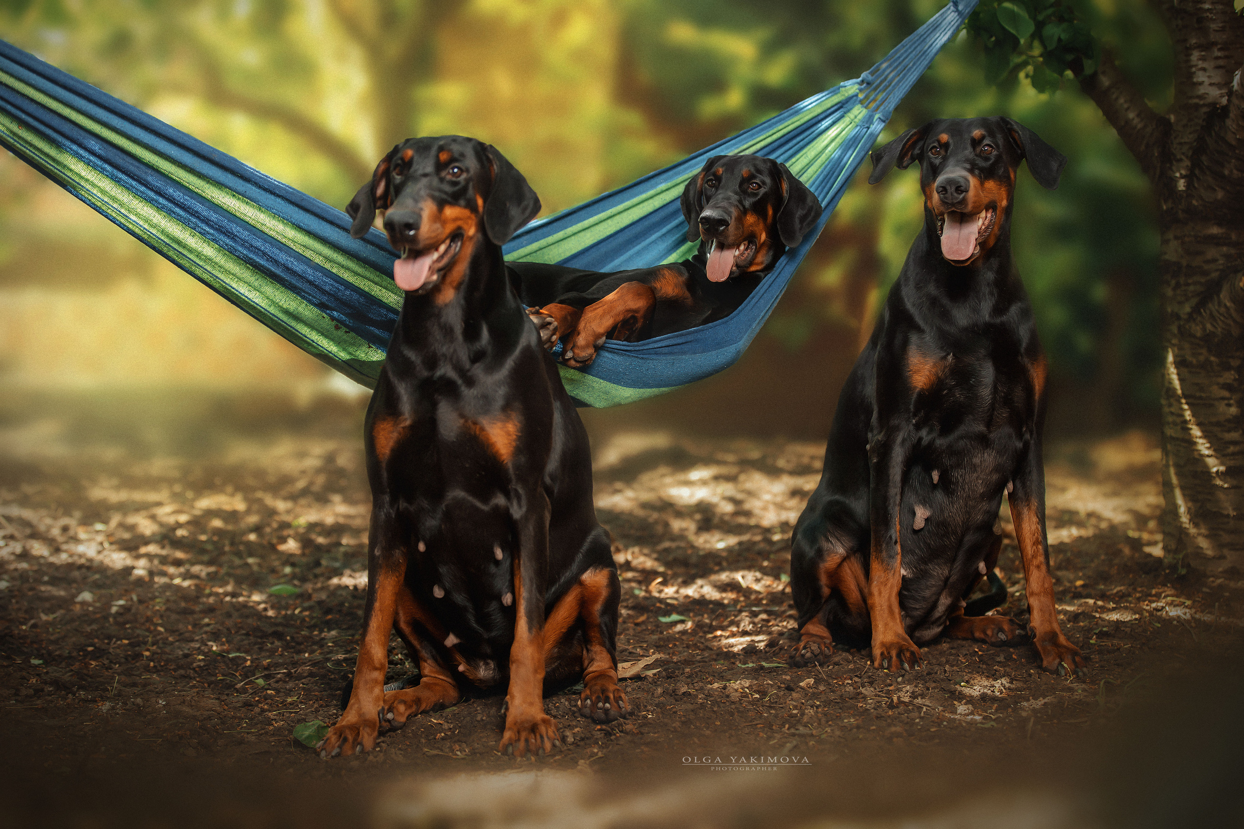 Экстерьер. Фотограф