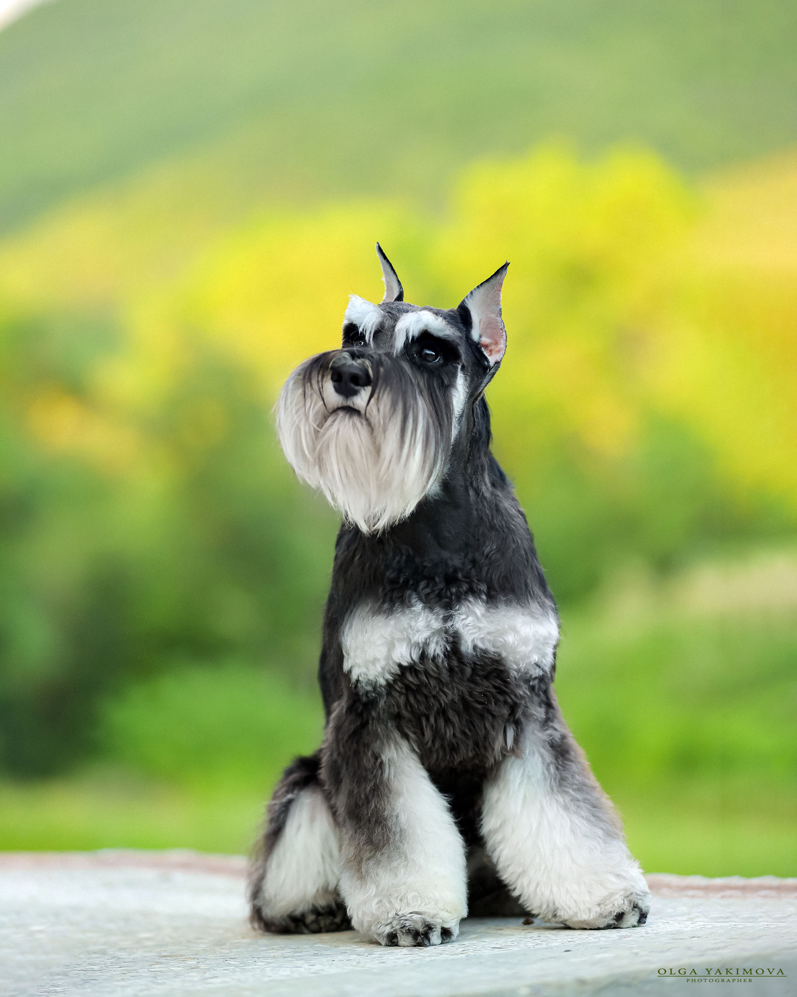 Экстерьер. Фотограф