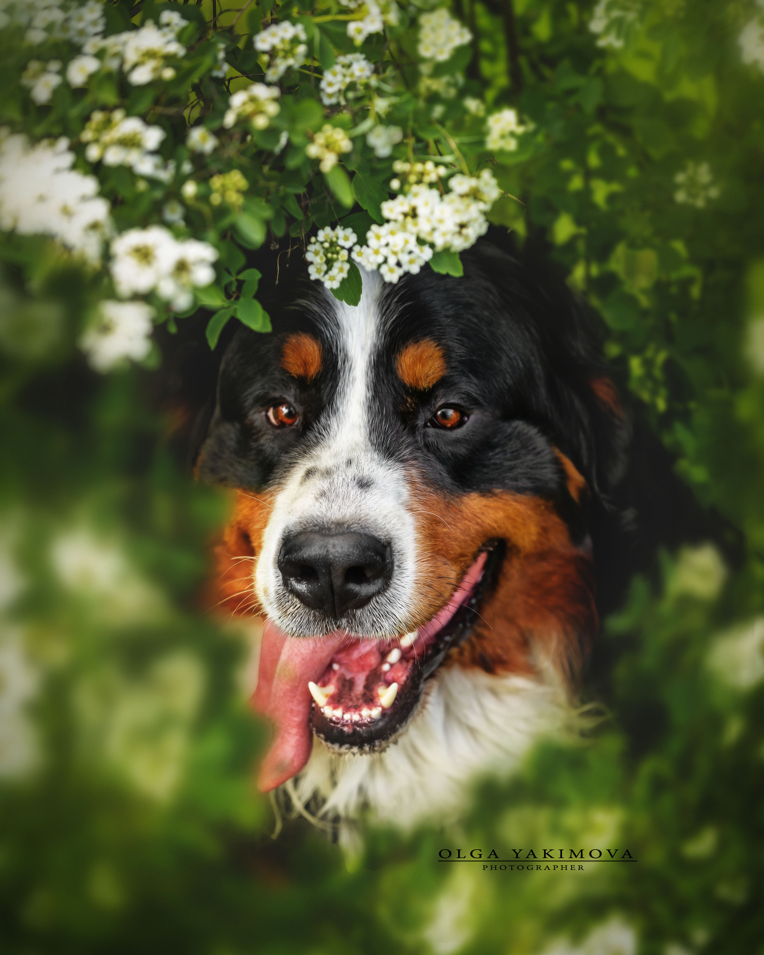 Экстерьер. Фотограф