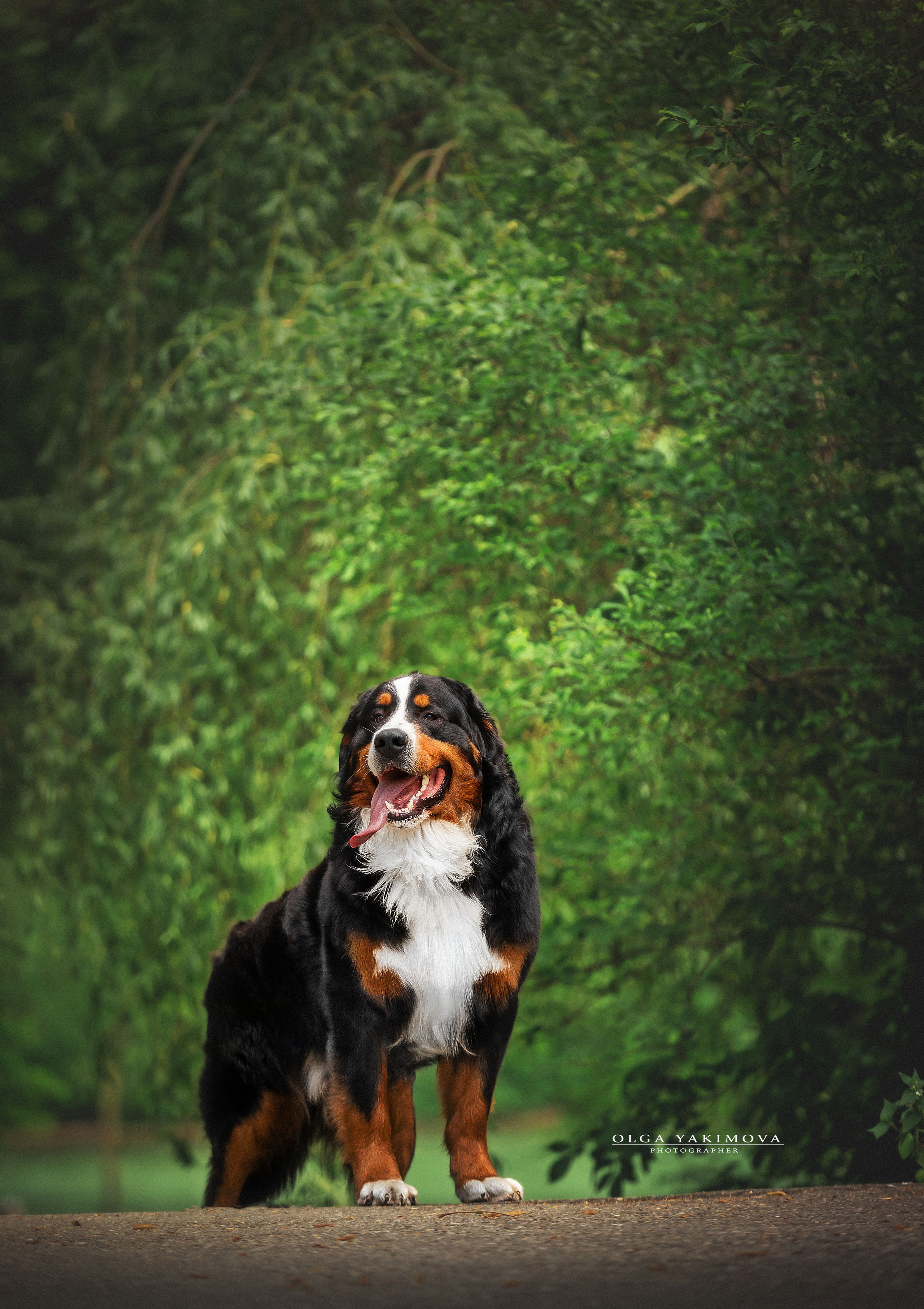 Экстерьер. Фотограф