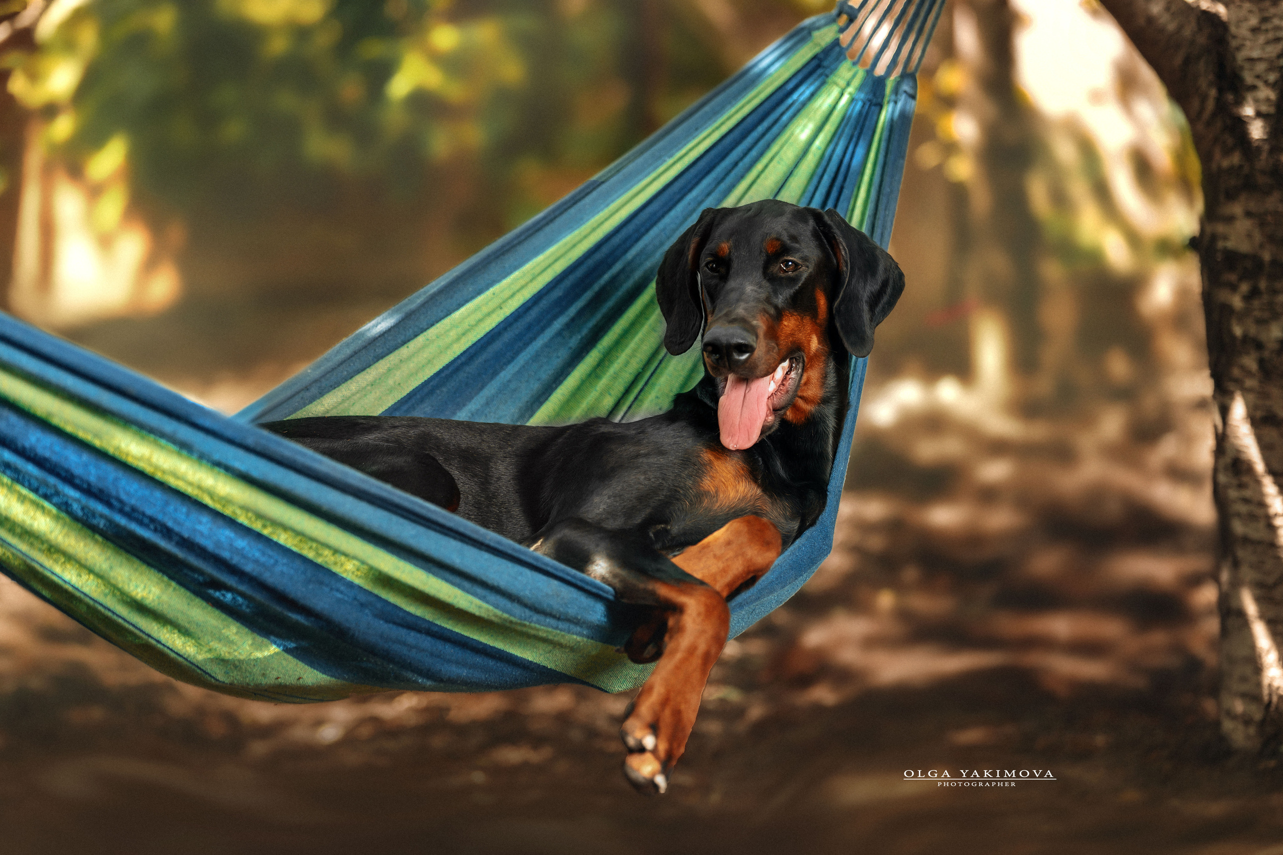 Экстерьер. Фотограф